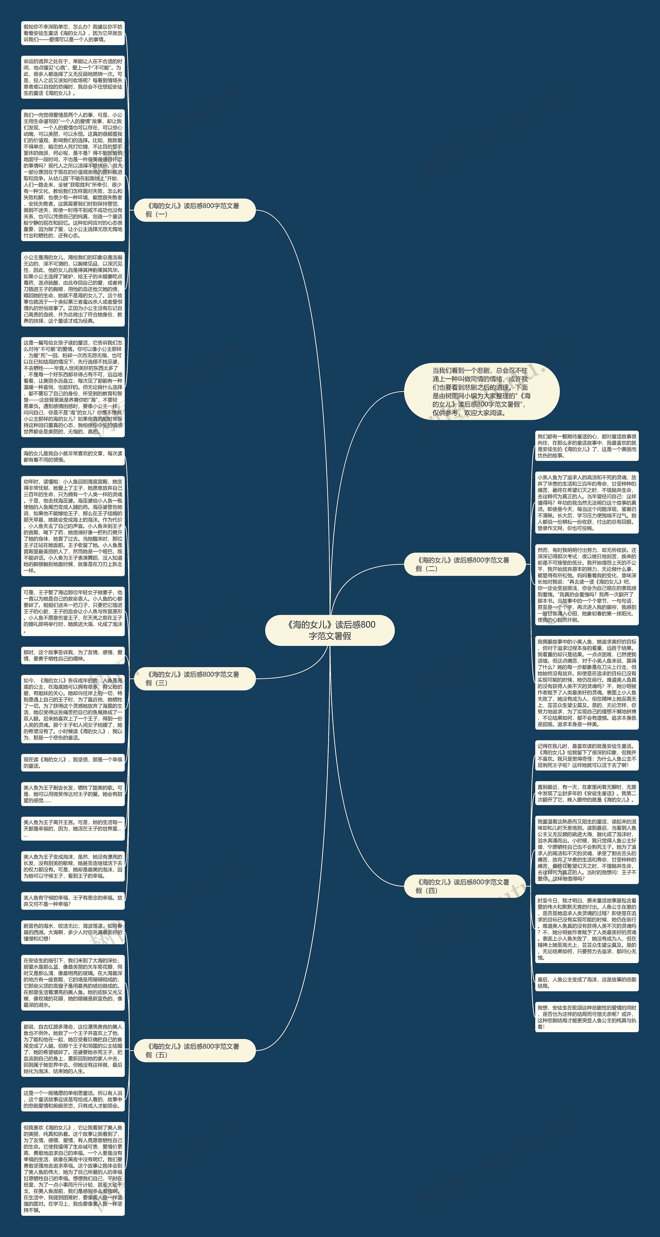 《海的女儿》读后感800字范文暑假思维导图
