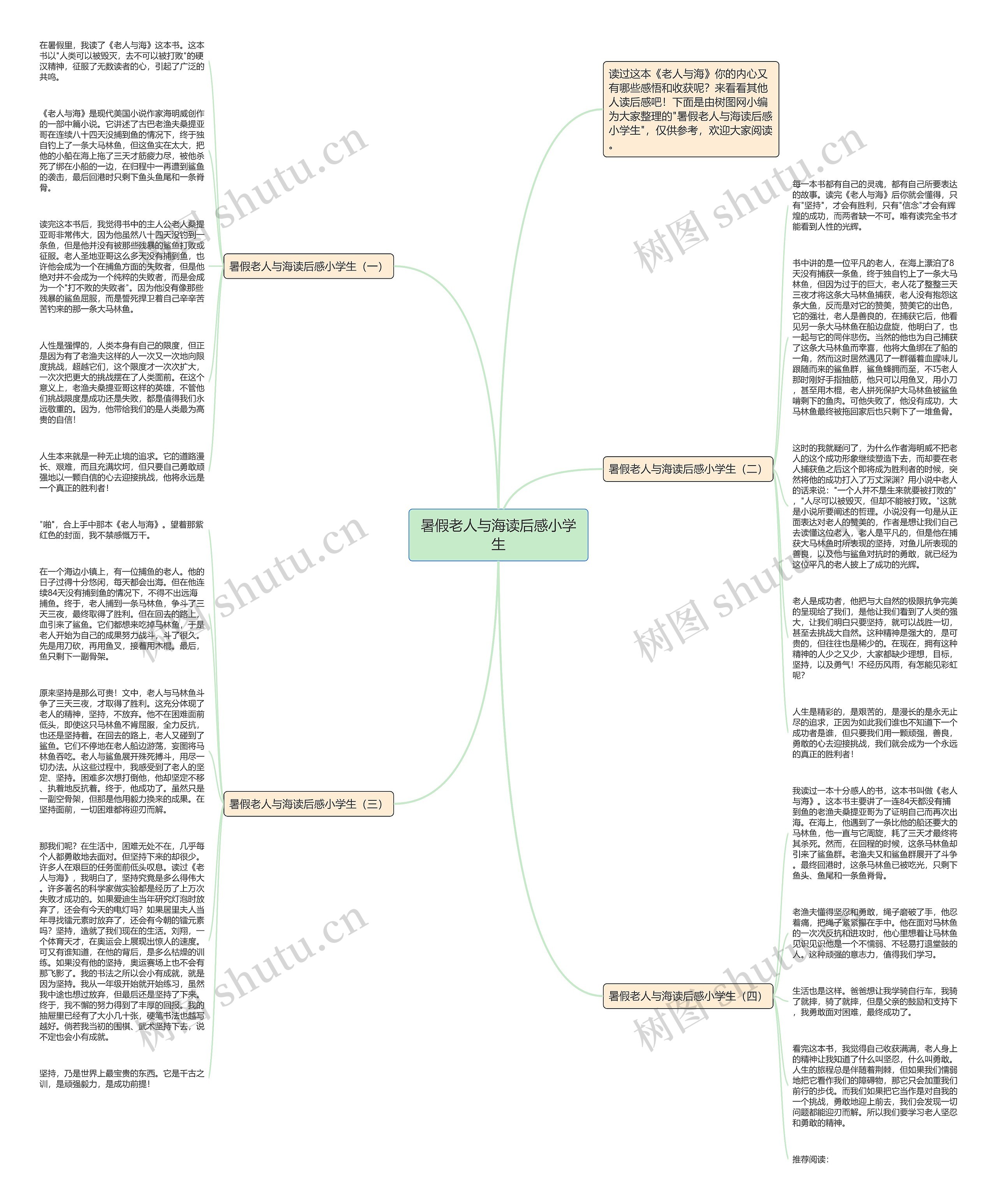 暑假老人与海读后感小学生思维导图