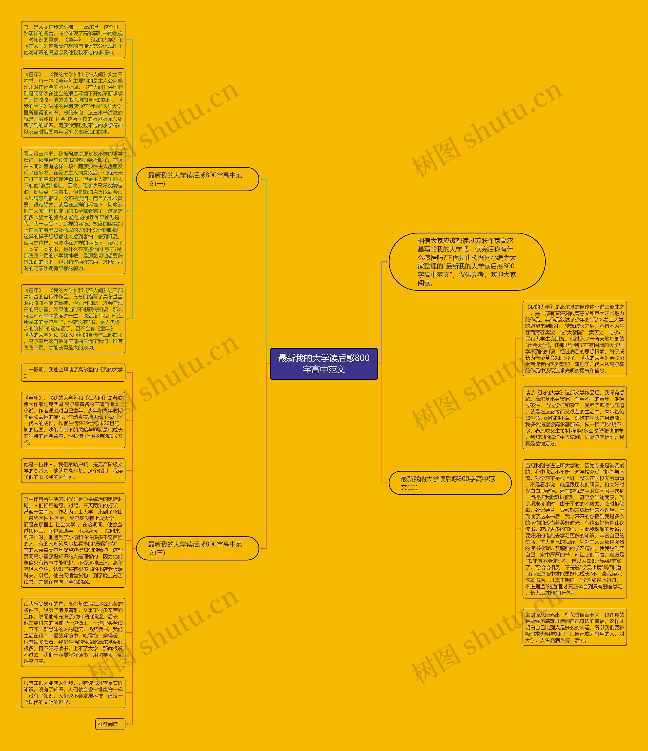 最新我的大学读后感800字高中范文思维导图