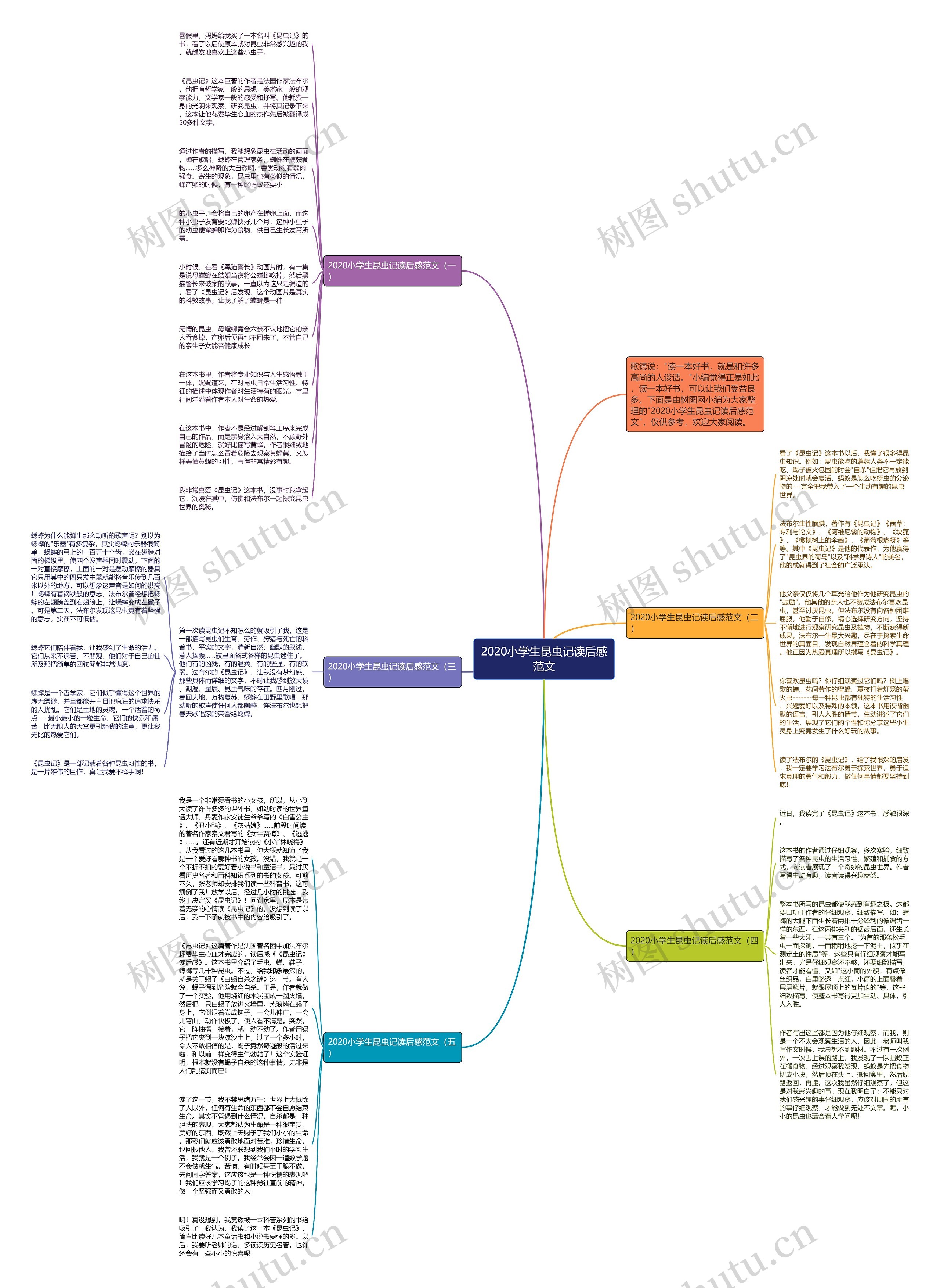 2020小学生昆虫记读后感范文思维导图