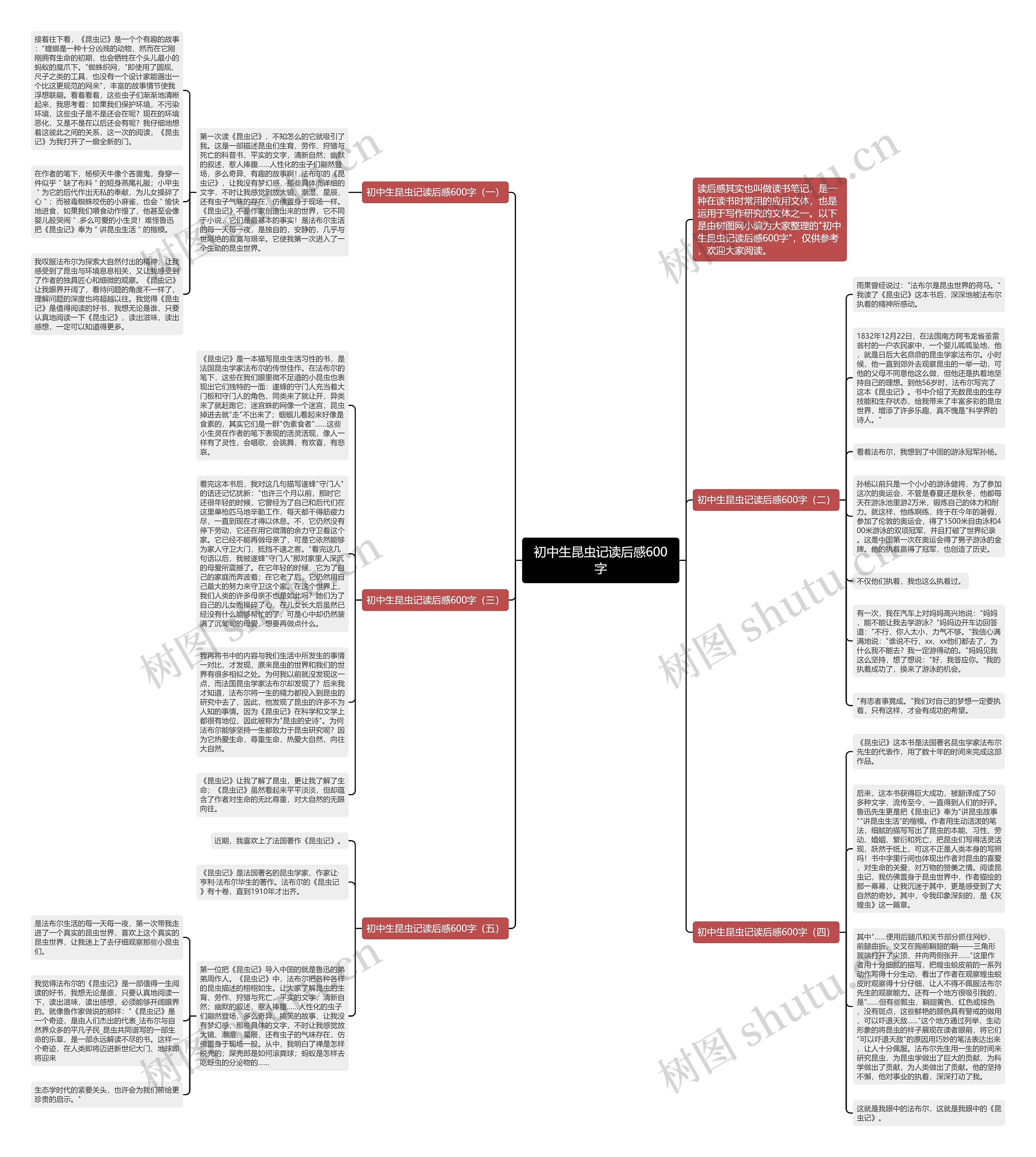 初中生昆虫记读后感600字思维导图