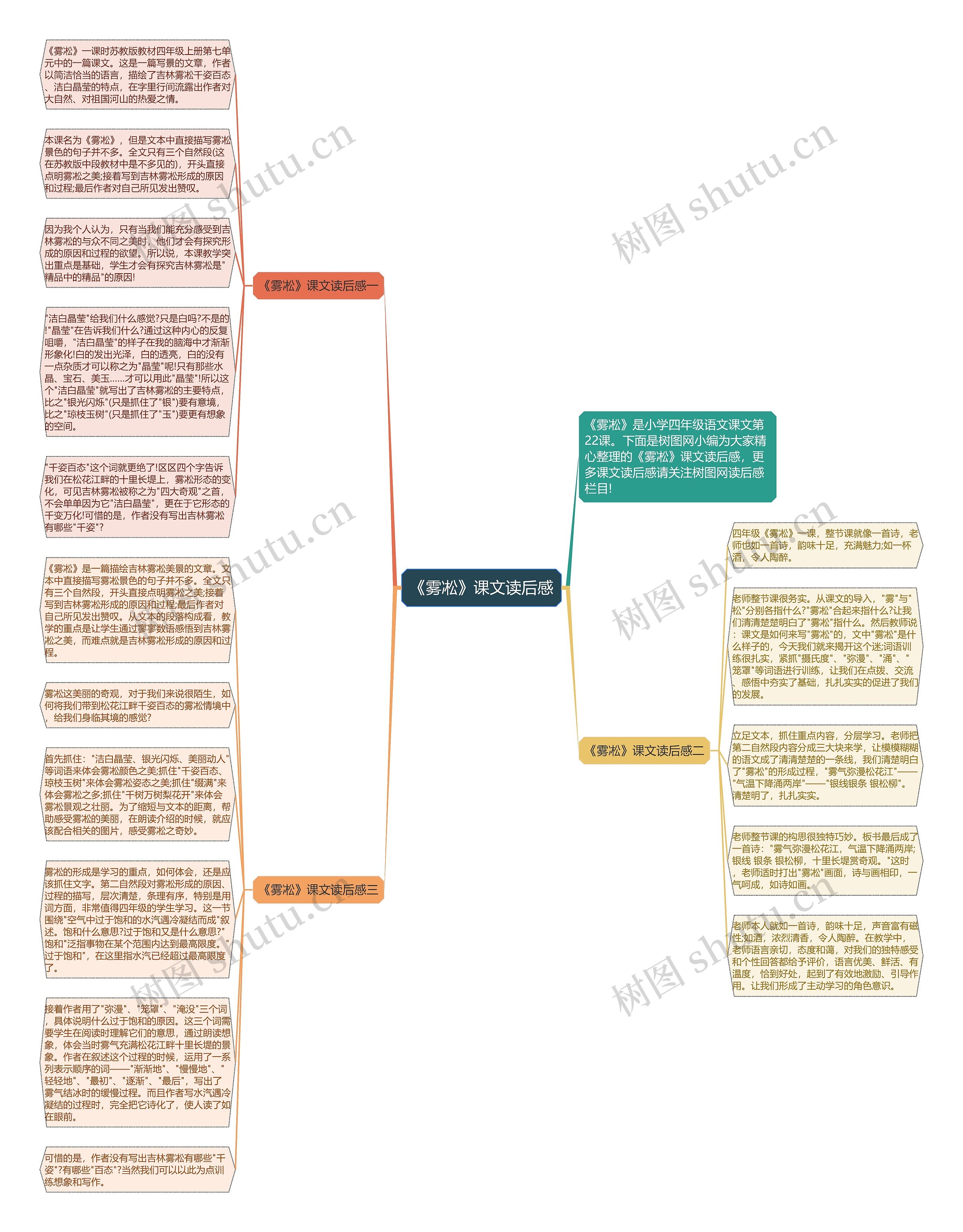 《雾凇》课文读后感思维导图