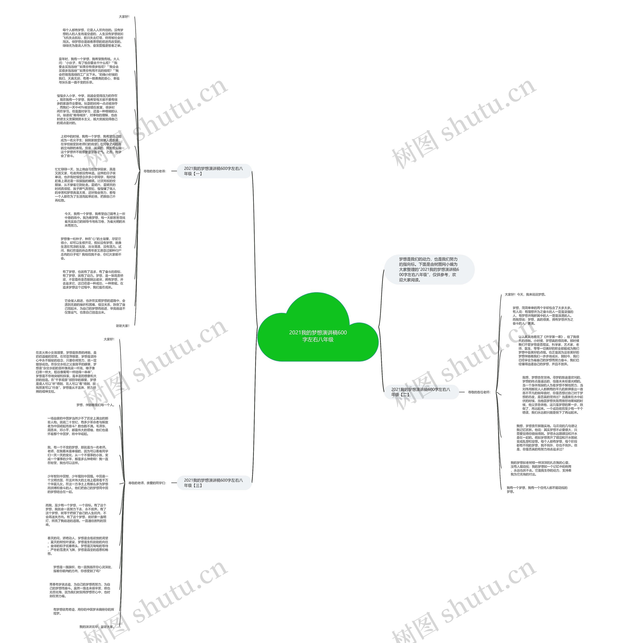 2021我的梦想演讲稿600字左右八年级思维导图