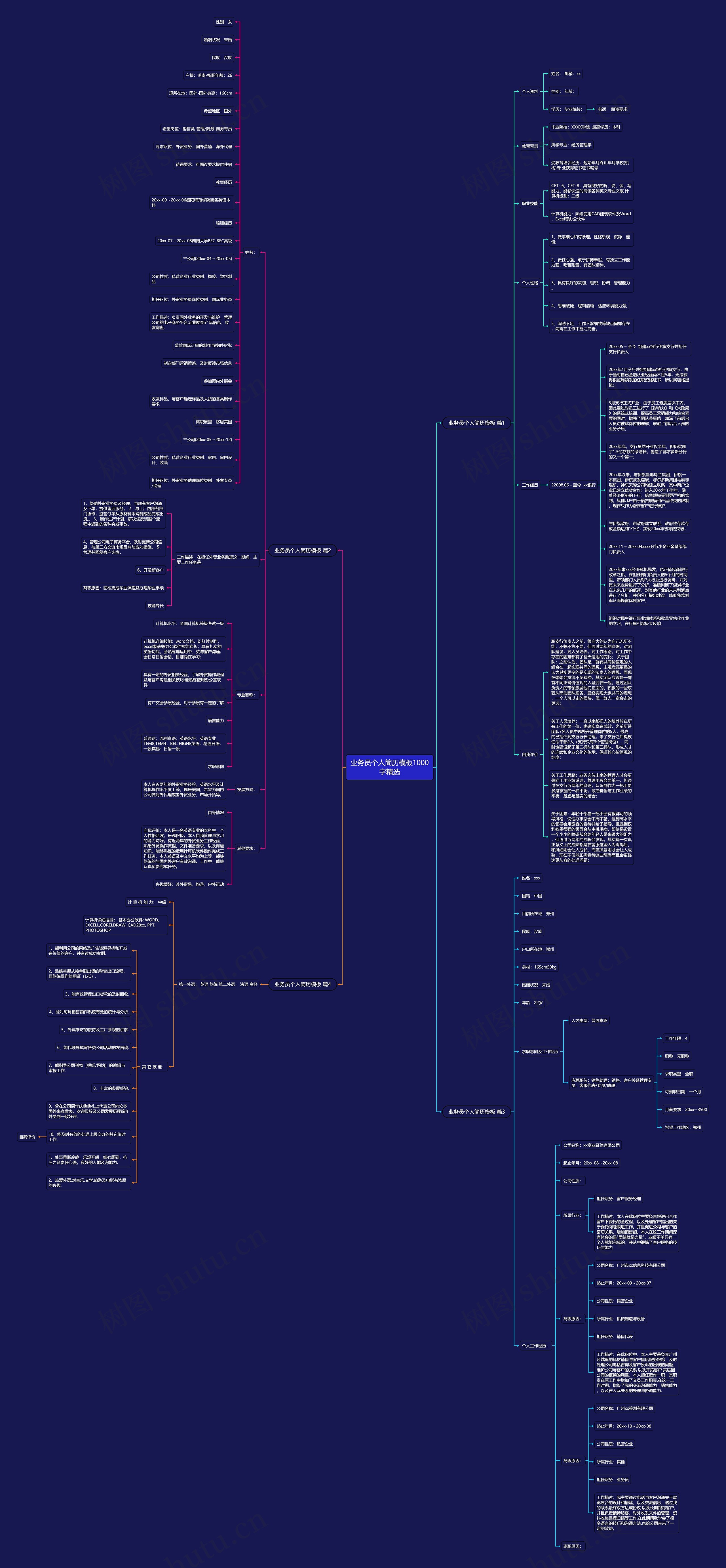 业务员个人简历1000字精选思维导图