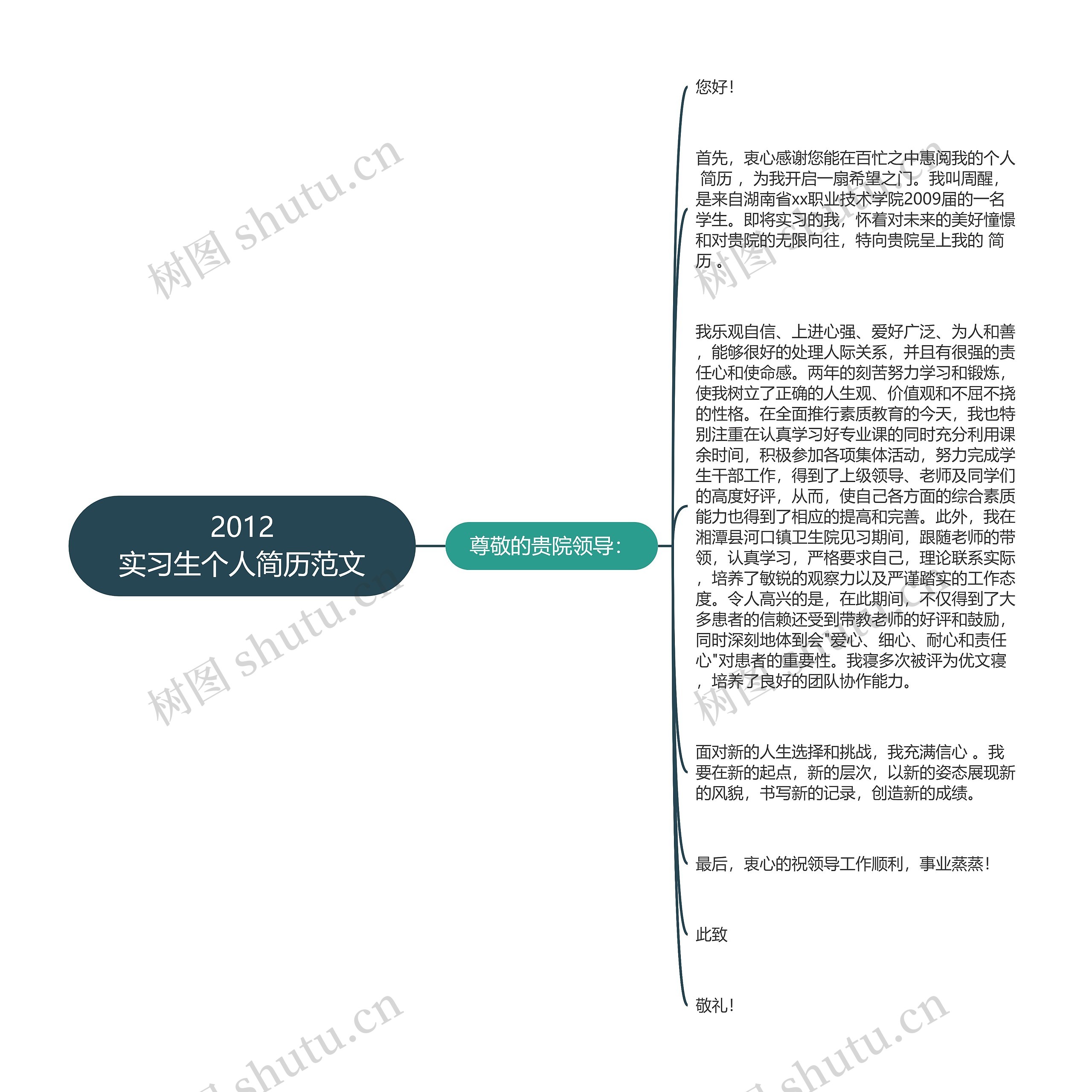 2012
实习生个人简历范文思维导图