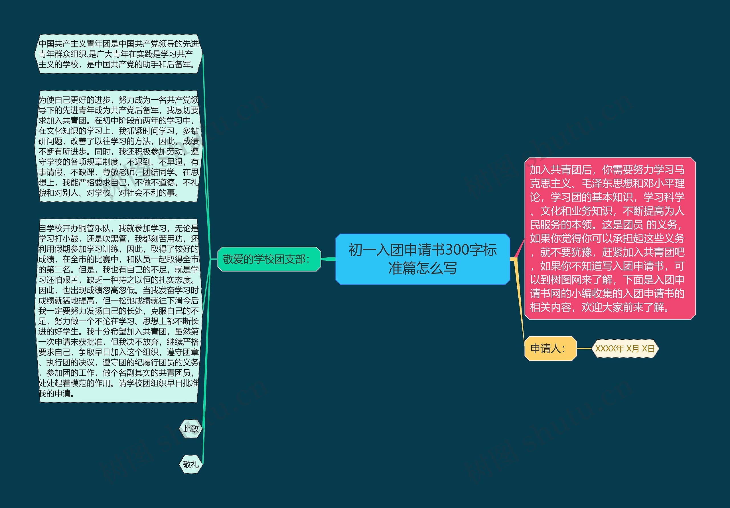 初一入团申请书300字标准篇怎么写