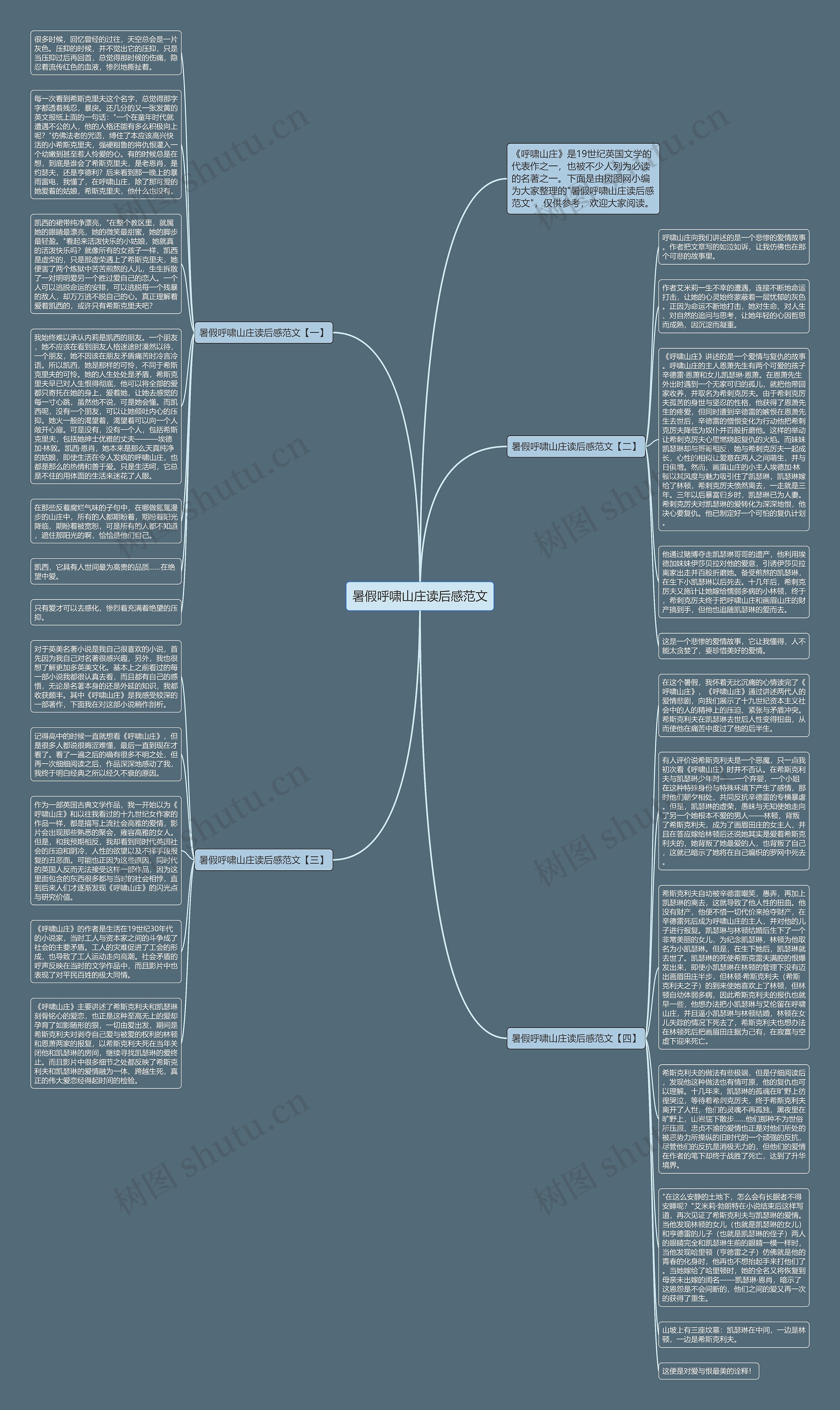 暑假呼啸山庄读后感范文思维导图
