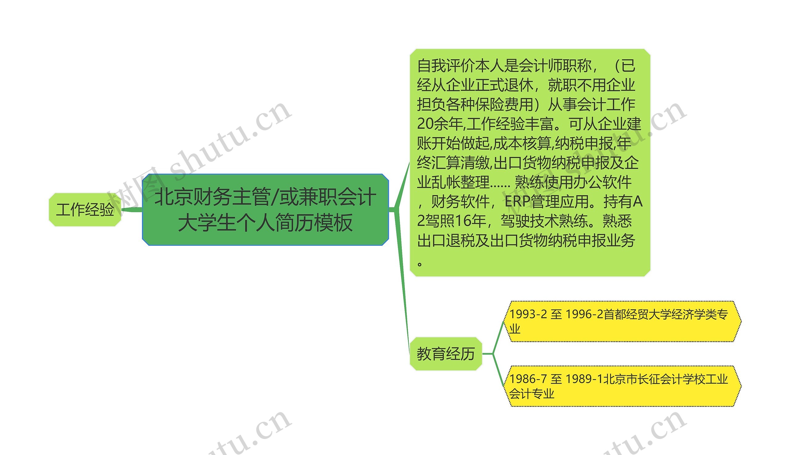 北京财务主管/或兼职会计大学生个人简历思维导图