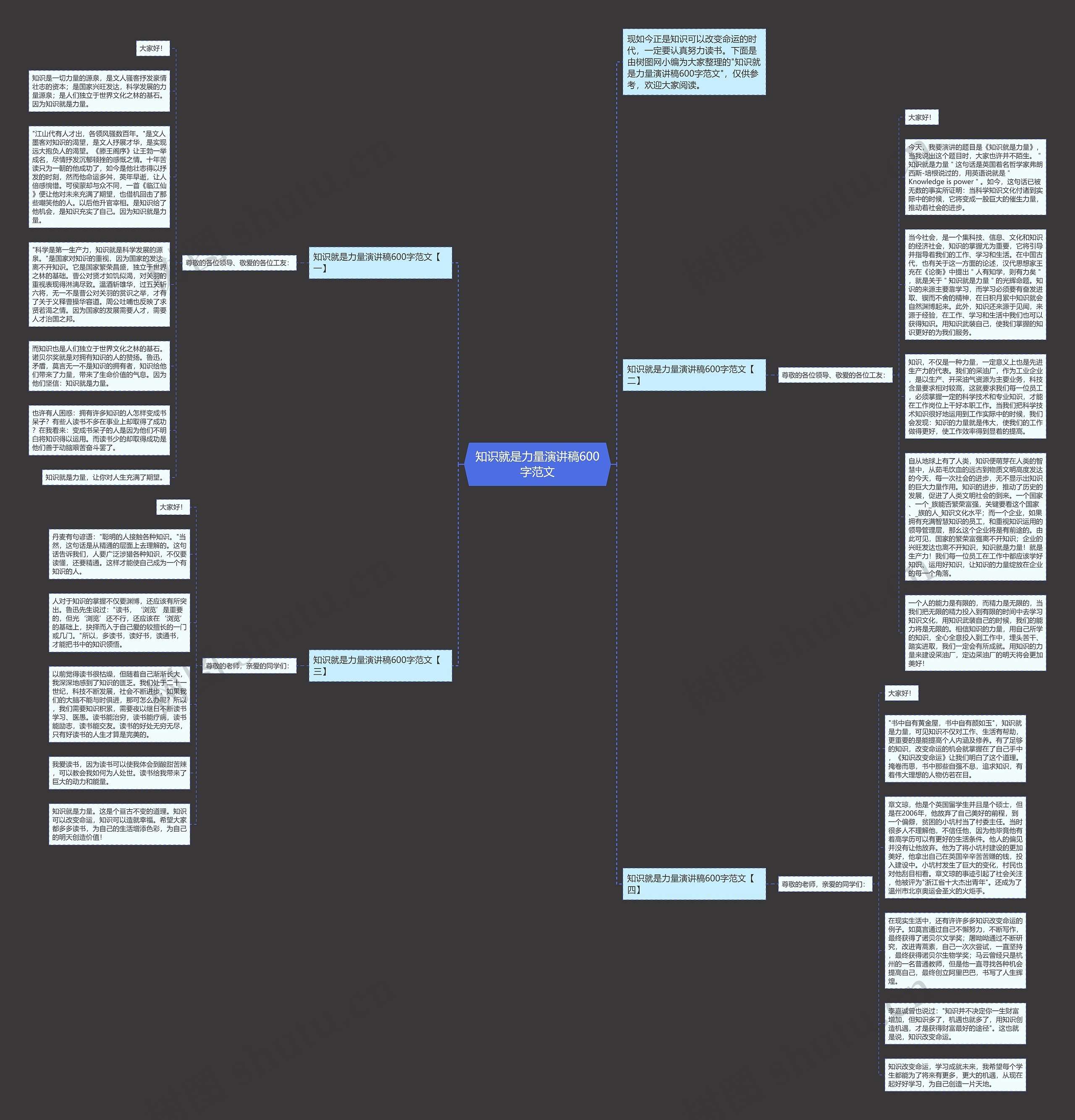 知识就是力量演讲稿600字范文思维导图
