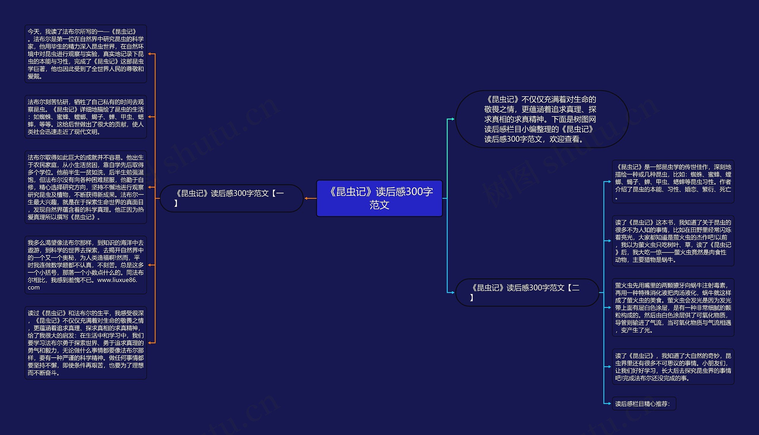 《昆虫记》读后感300字范文