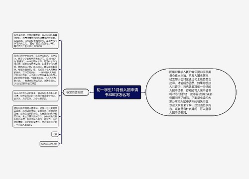 初一学生11月份入团申请书300字怎么写