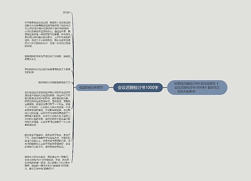 会议迟到检讨书1000字