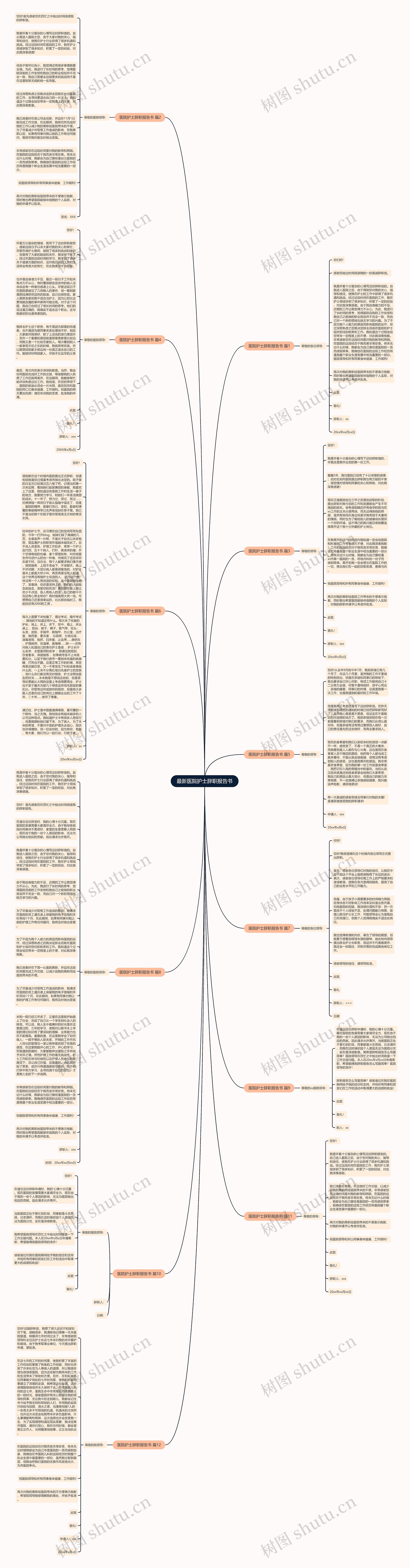 最新医院护士辞职报告书思维导图