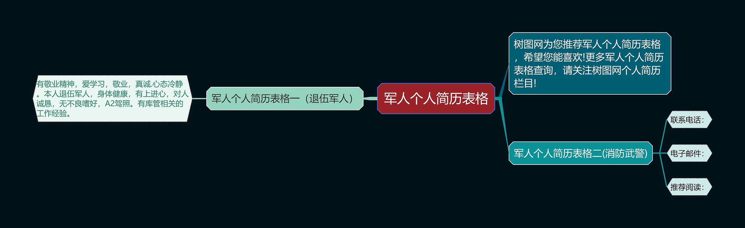 军人个人简历表格