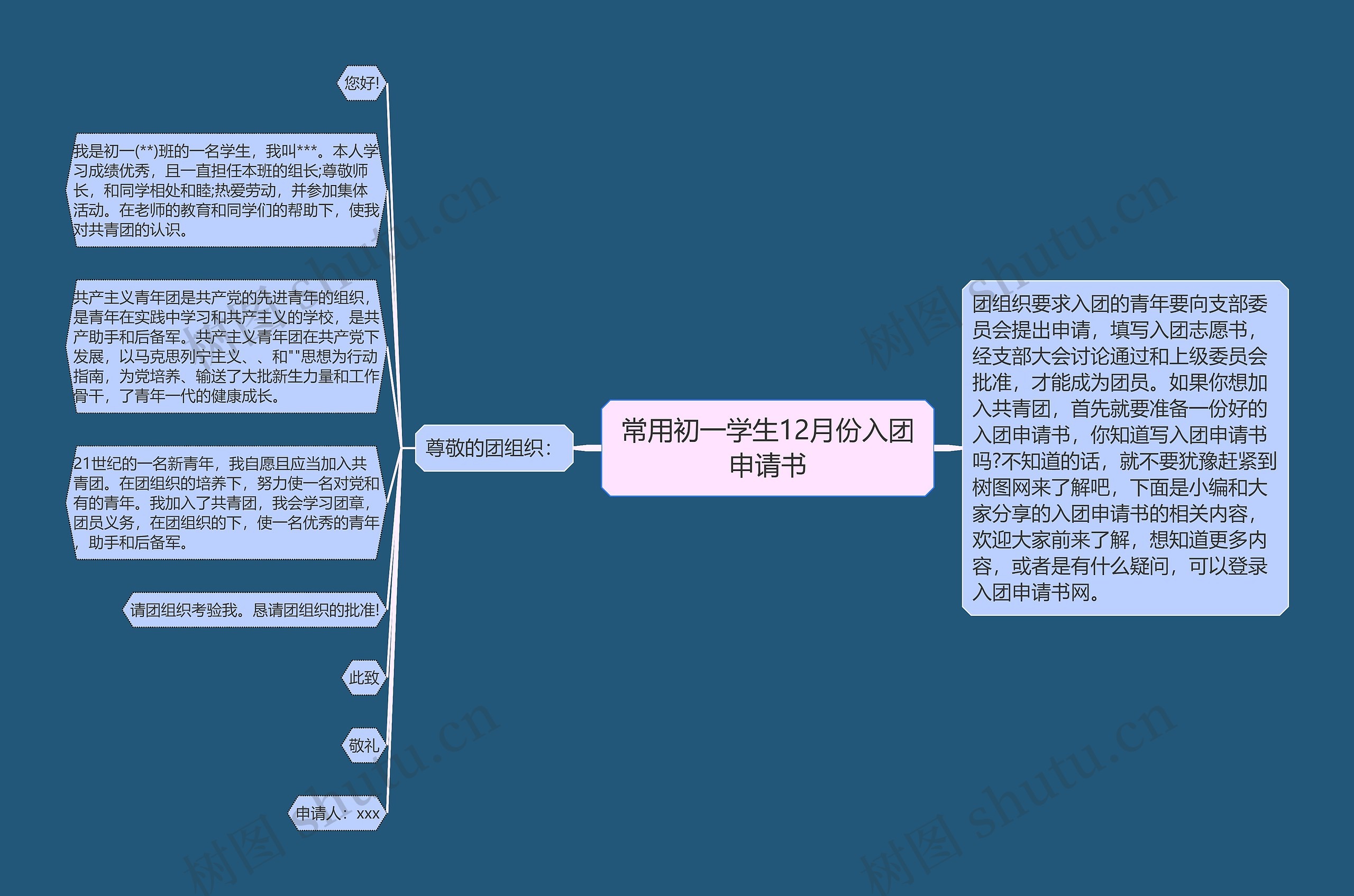 常用初一学生12月份入团申请书