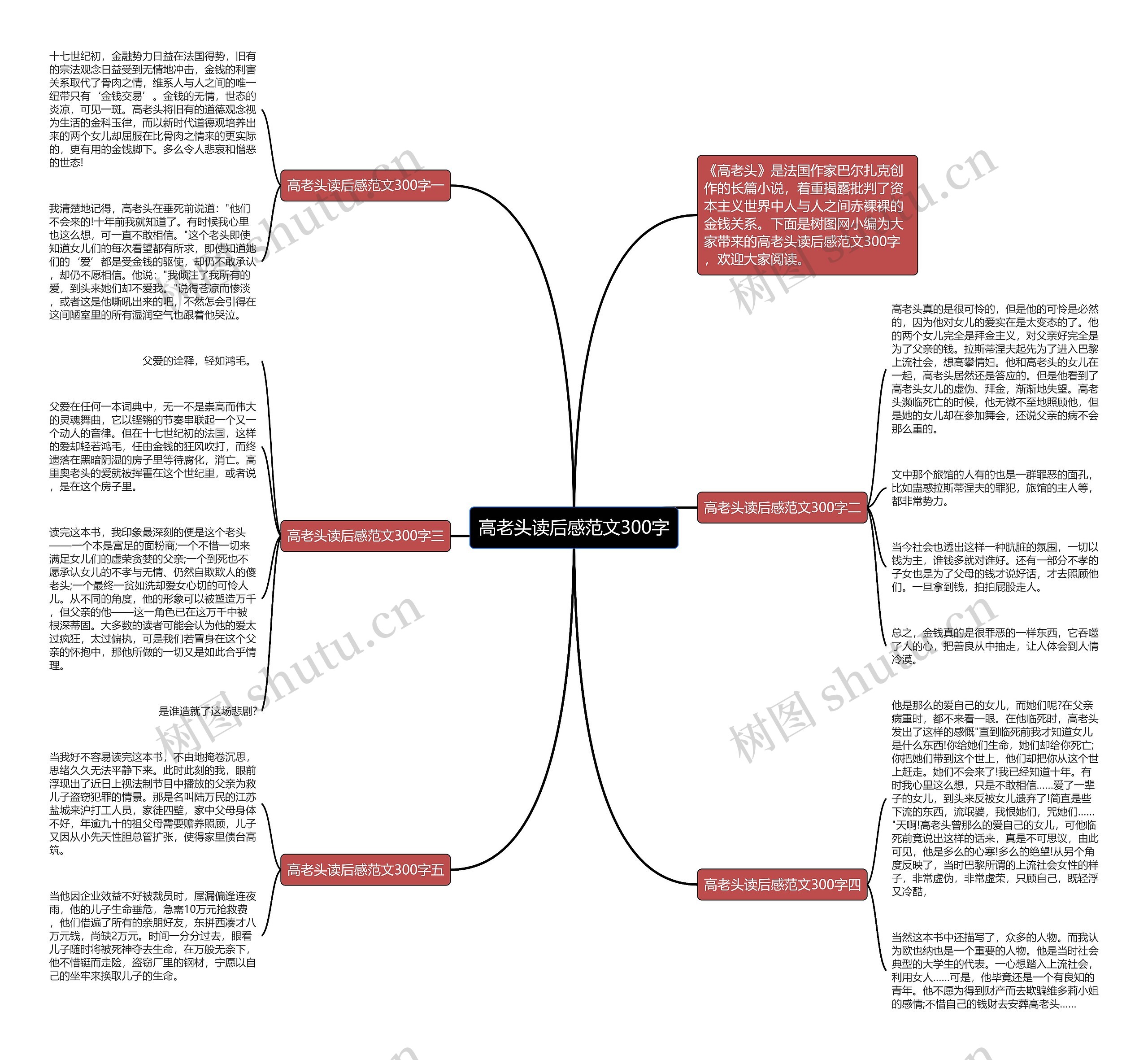 高老头读后感范文300字思维导图