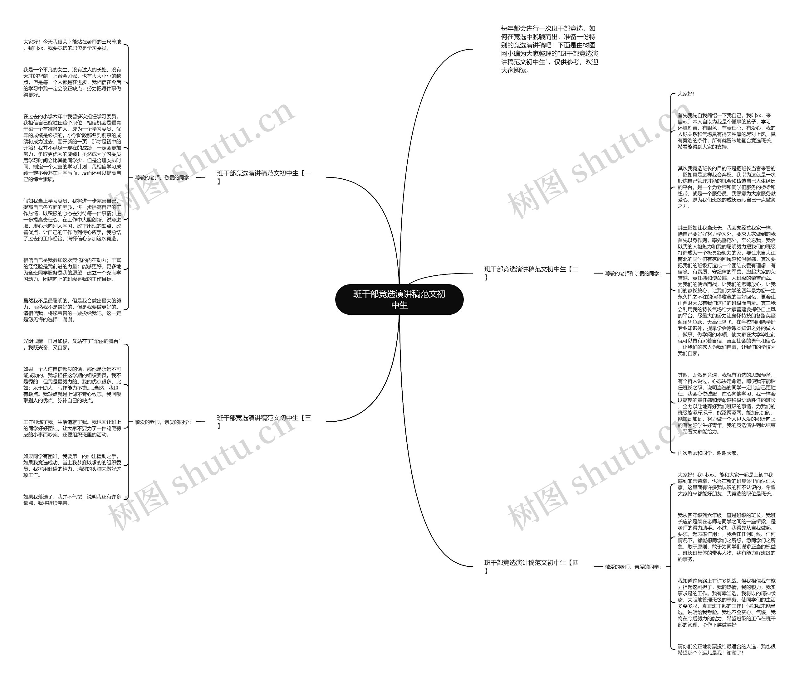 班干部竞选演讲稿范文初中生思维导图