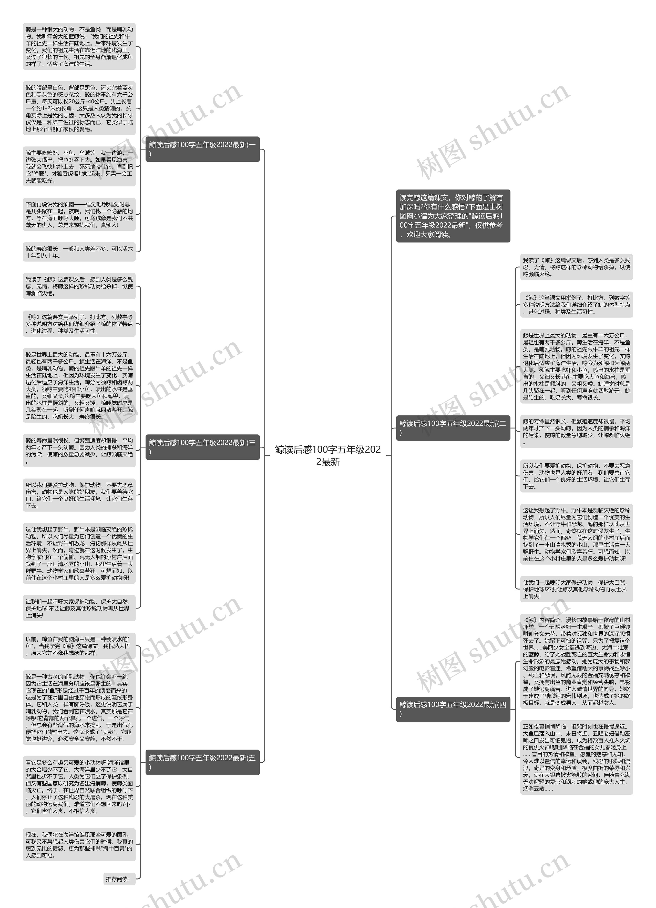 鲸读后感100字五年级2022最新思维导图
