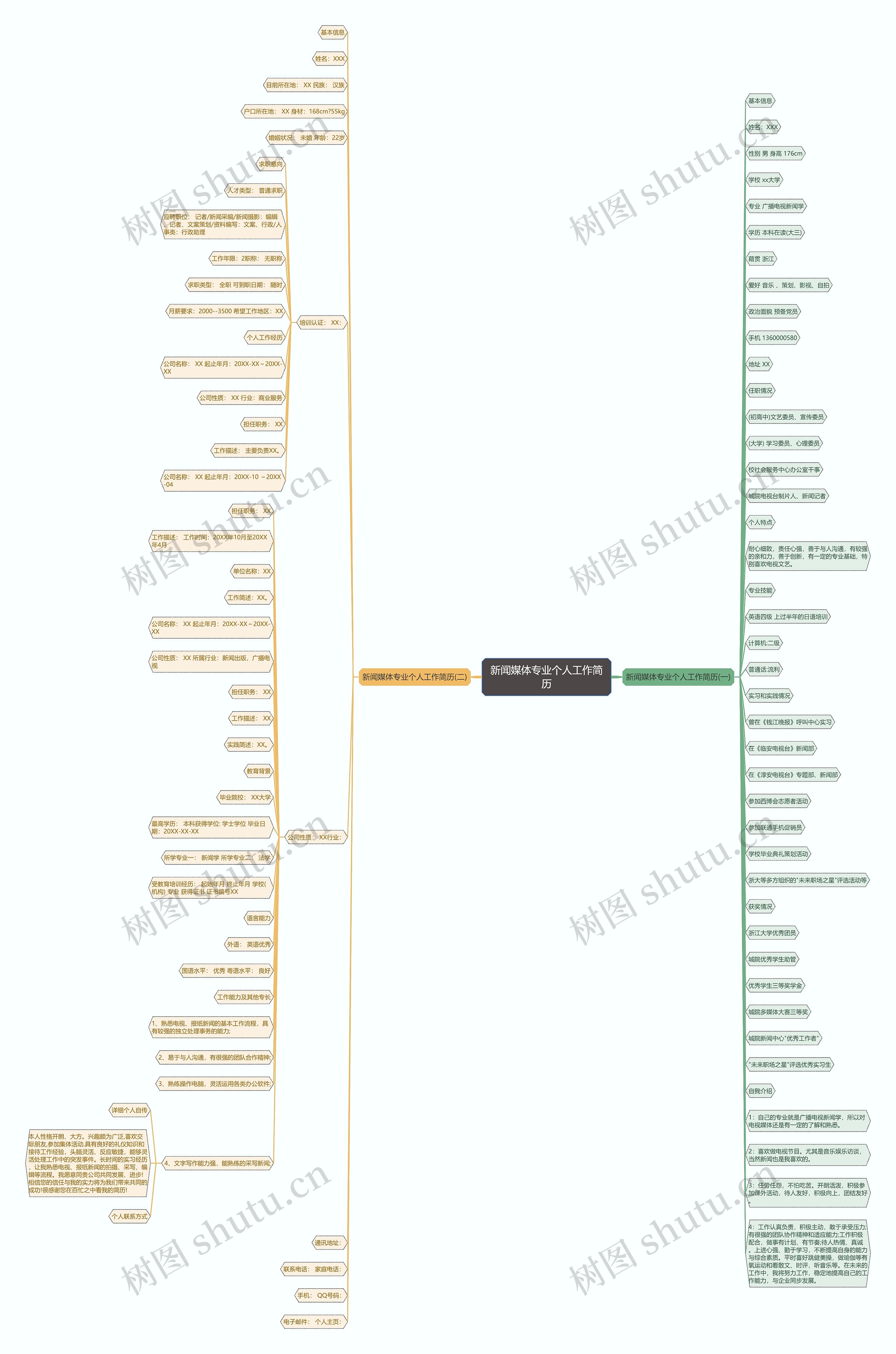 新闻媒体专业个人工作简历思维导图