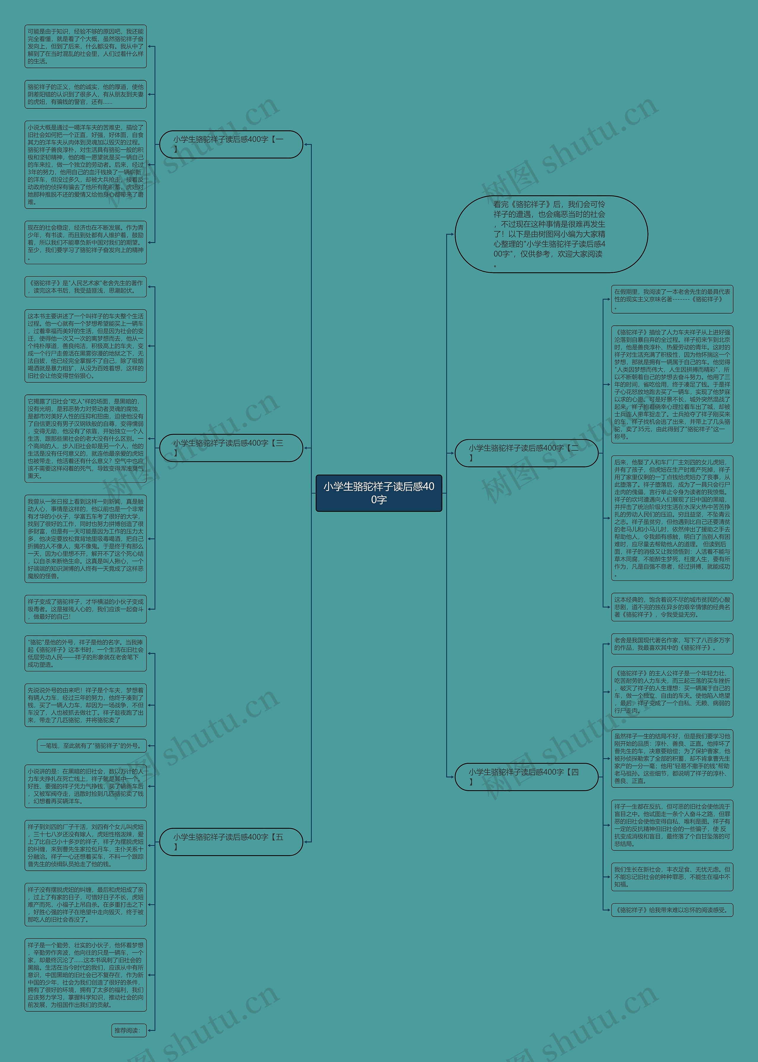 小学生骆驼祥子读后感400字思维导图