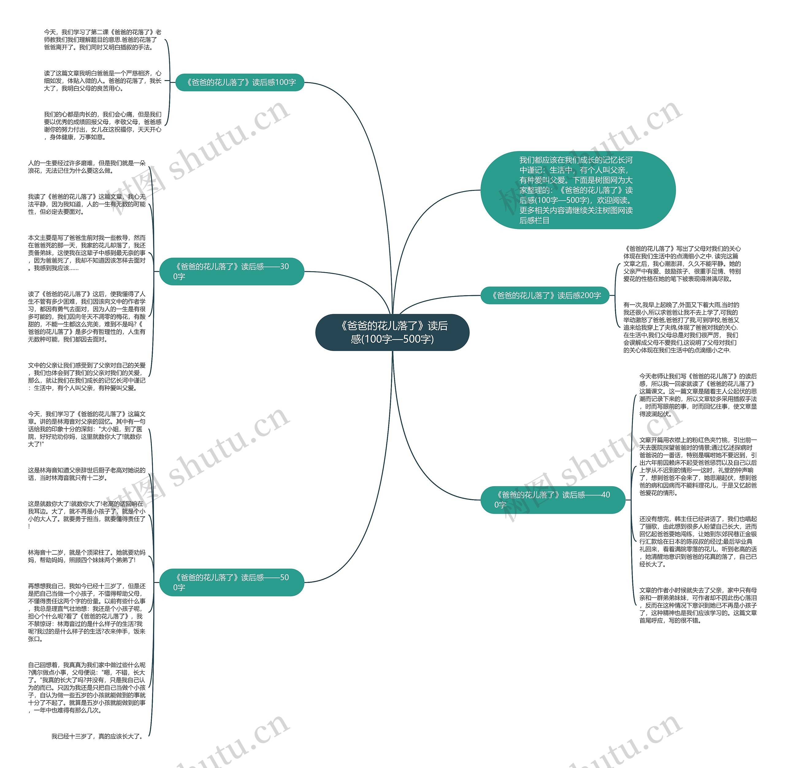 《爸爸的花儿落了》读后感(100字—500字)思维导图