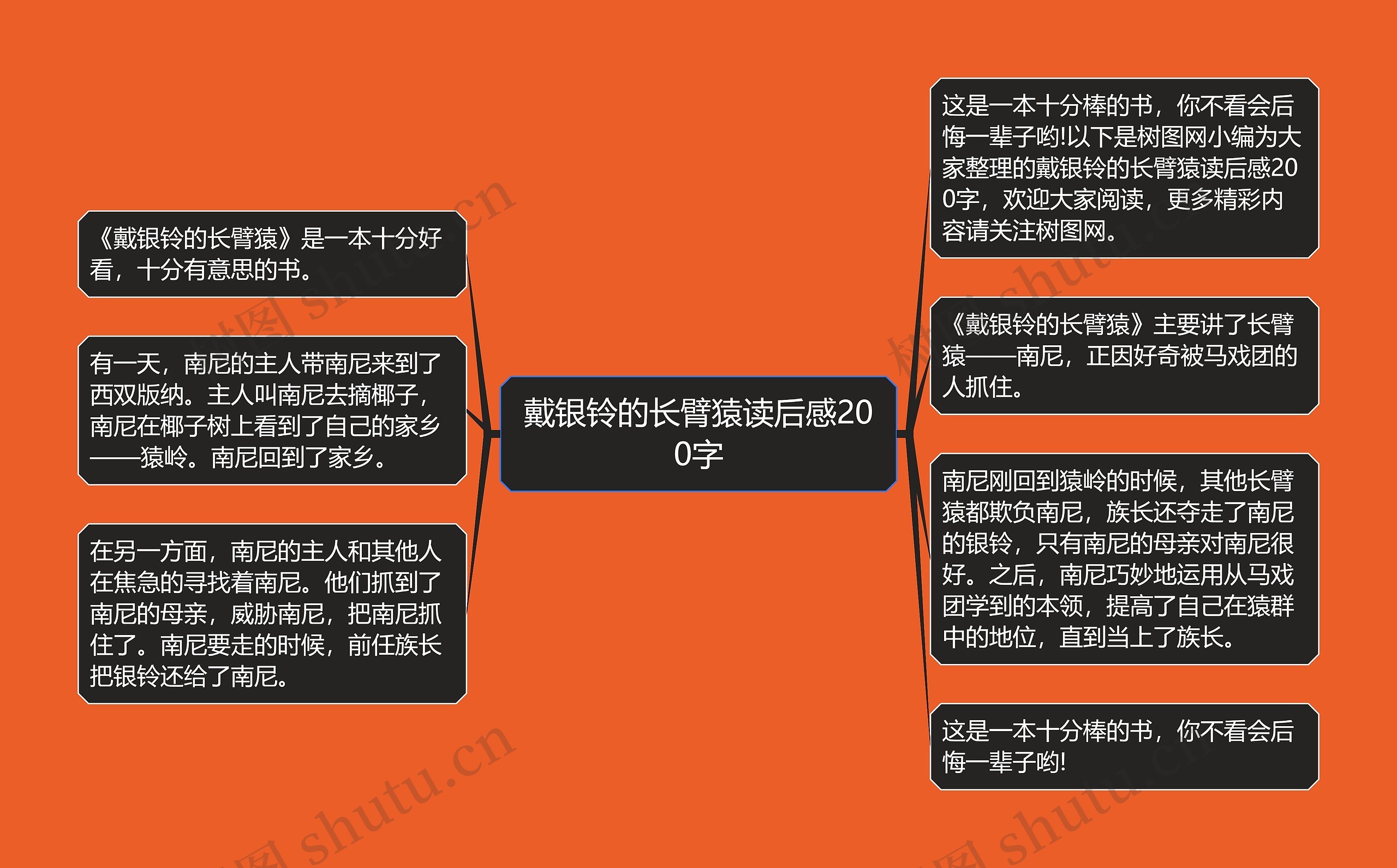 戴银铃的长臂猿读后感200字思维导图