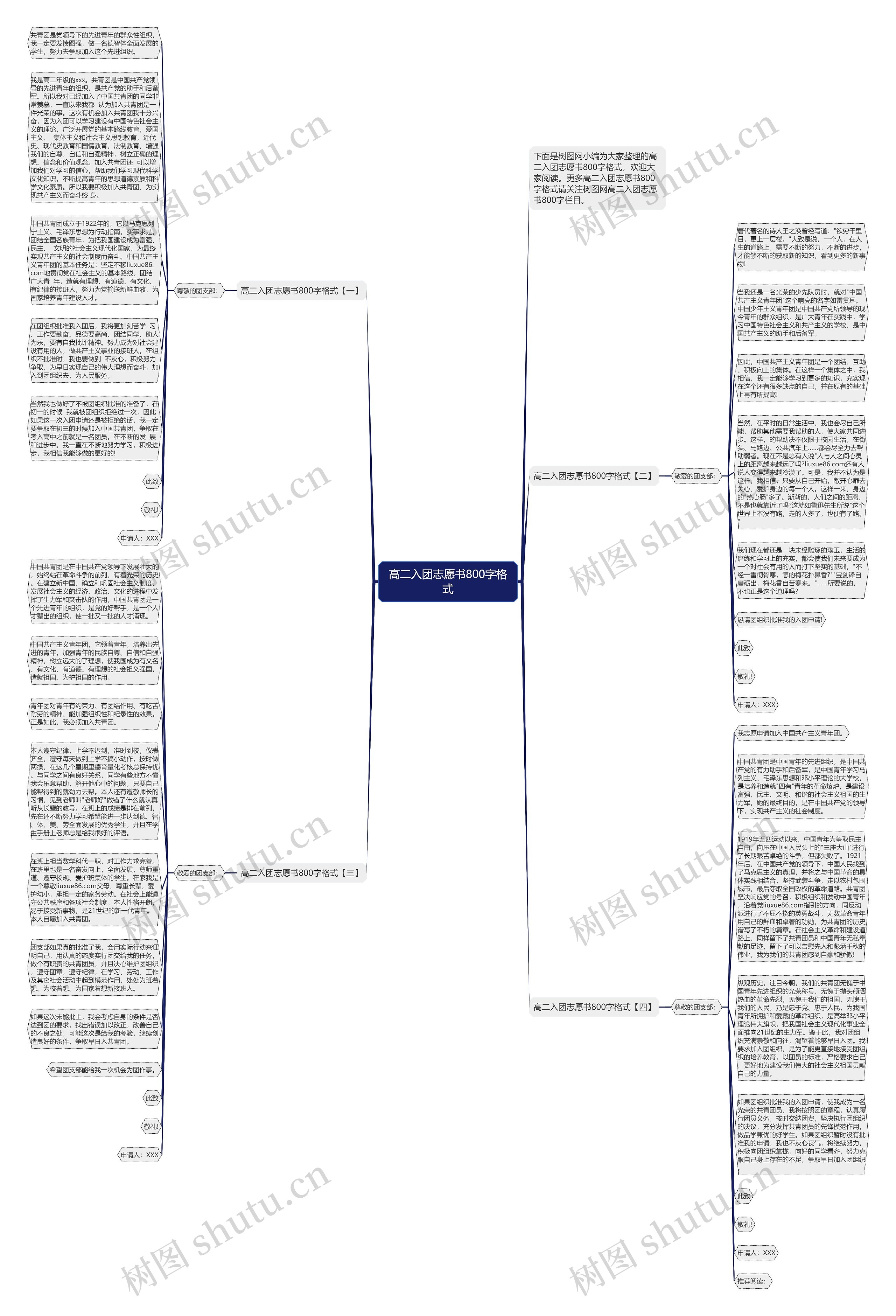 高二入团志愿书800字格式思维导图