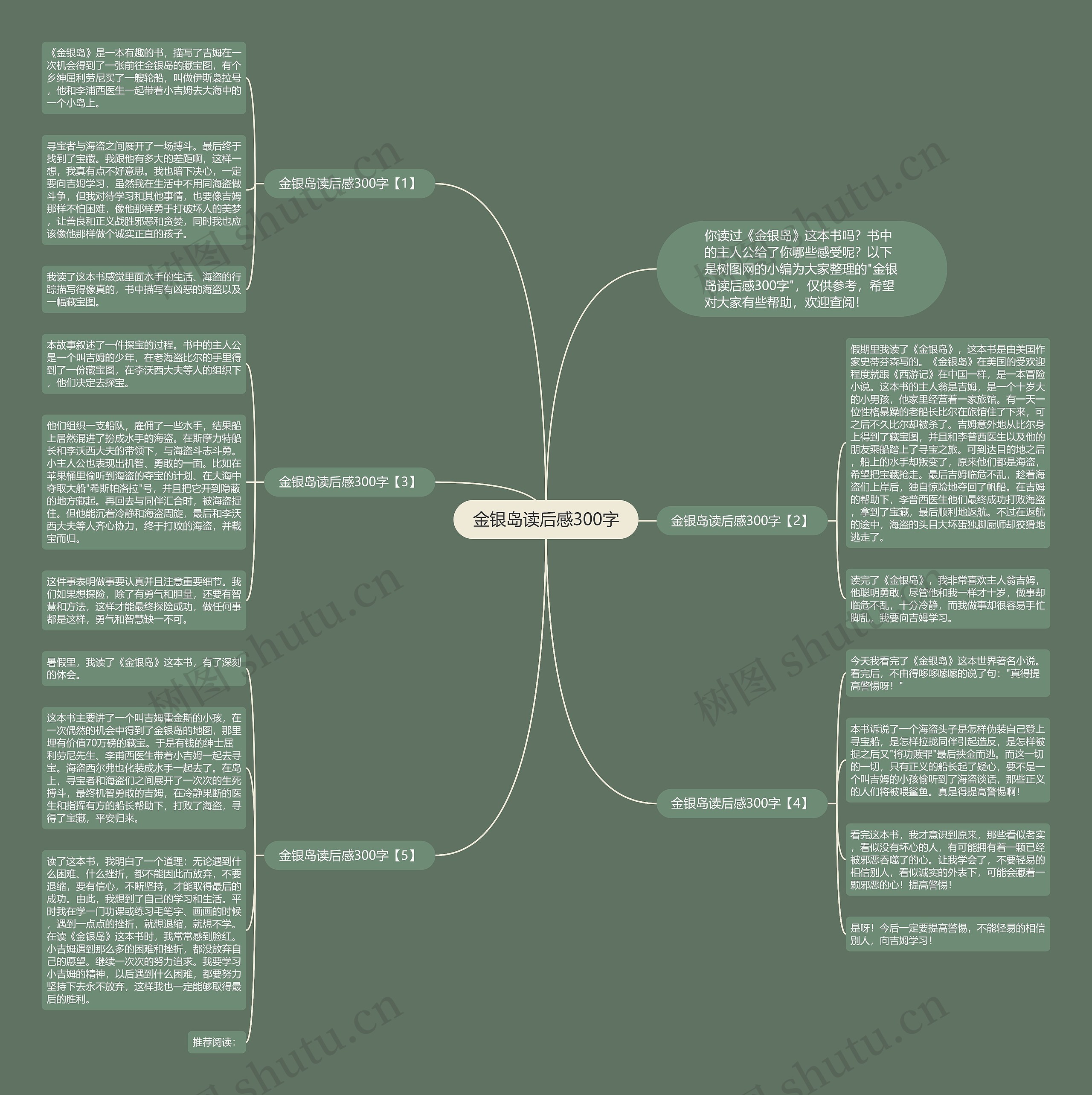 金银岛读后感300字思维导图