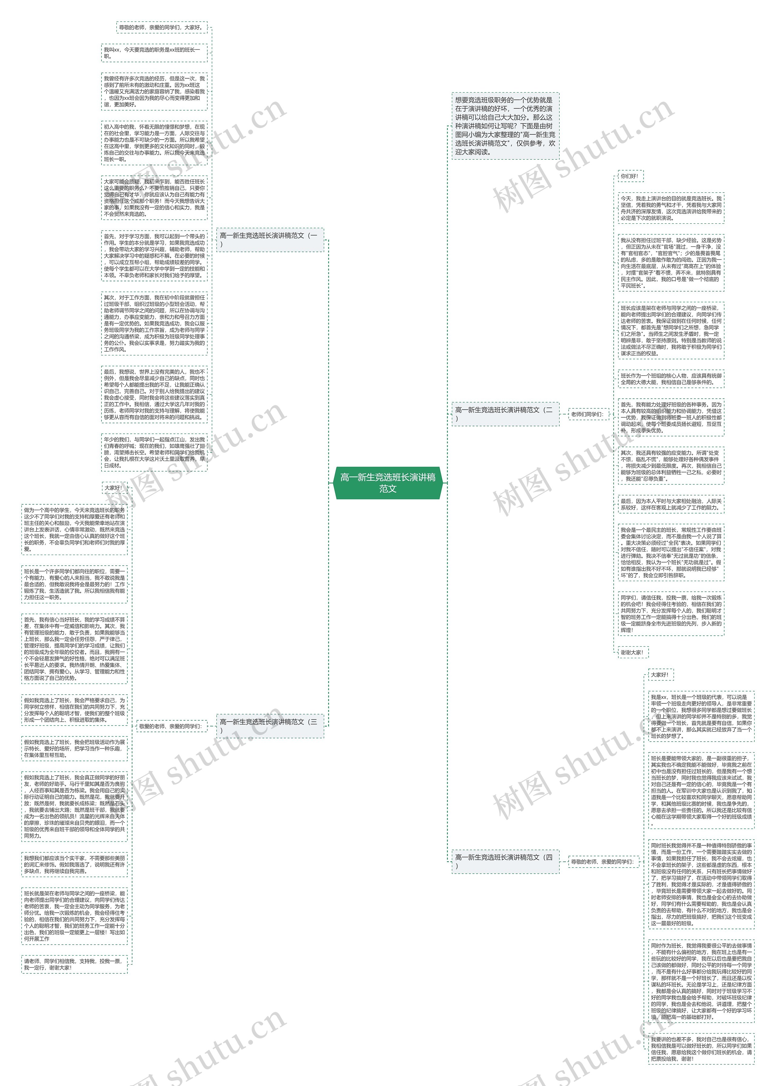 高一新生竞选班长演讲稿范文思维导图