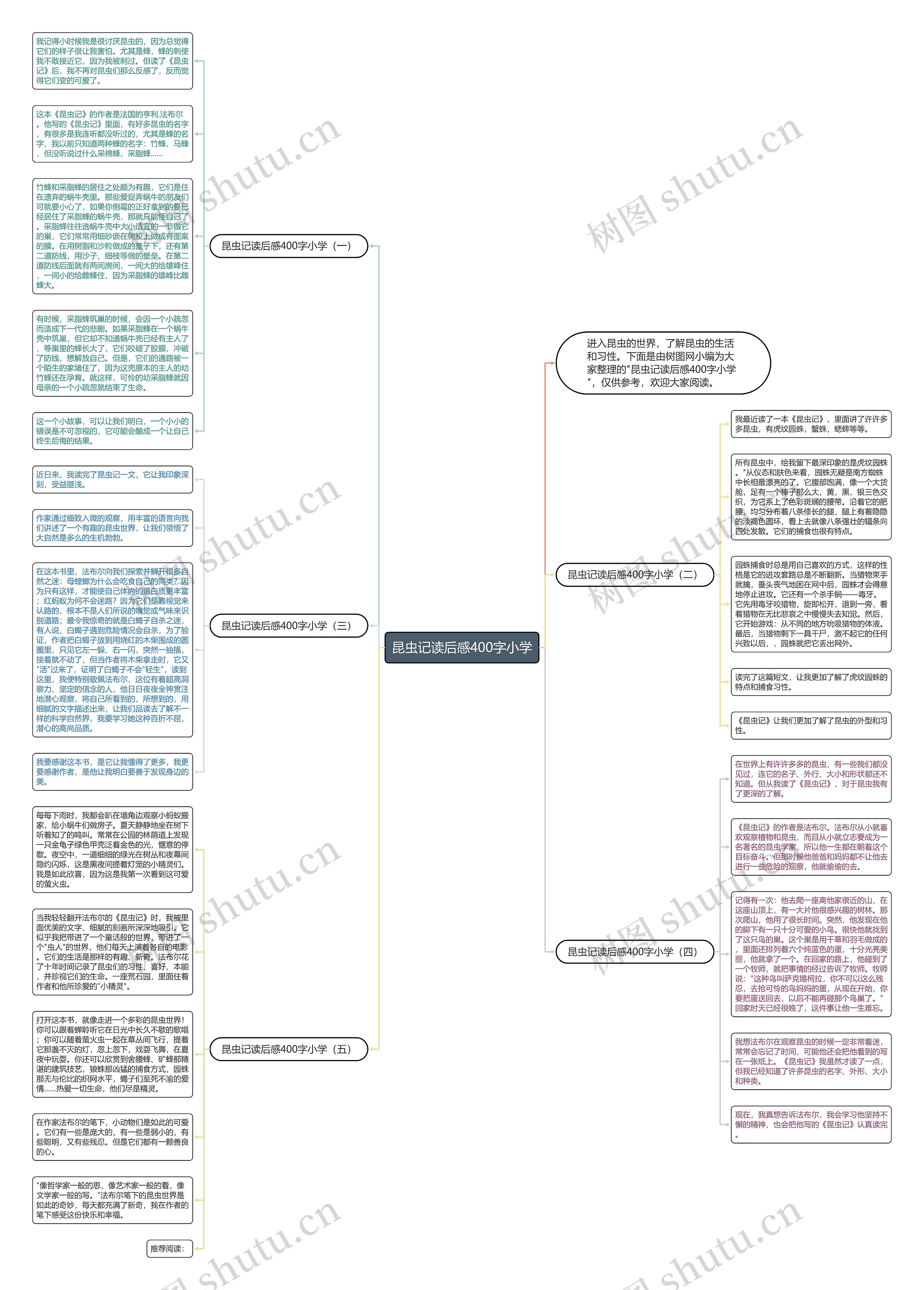 昆虫记读后感400字小学思维导图