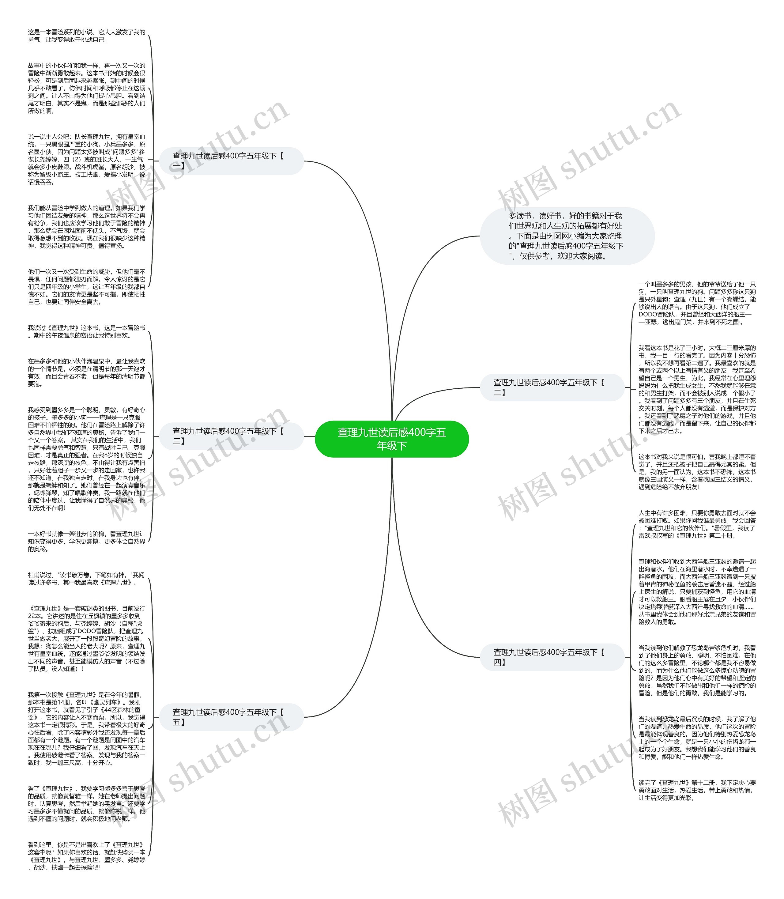 查理九世读后感400字五年级下思维导图