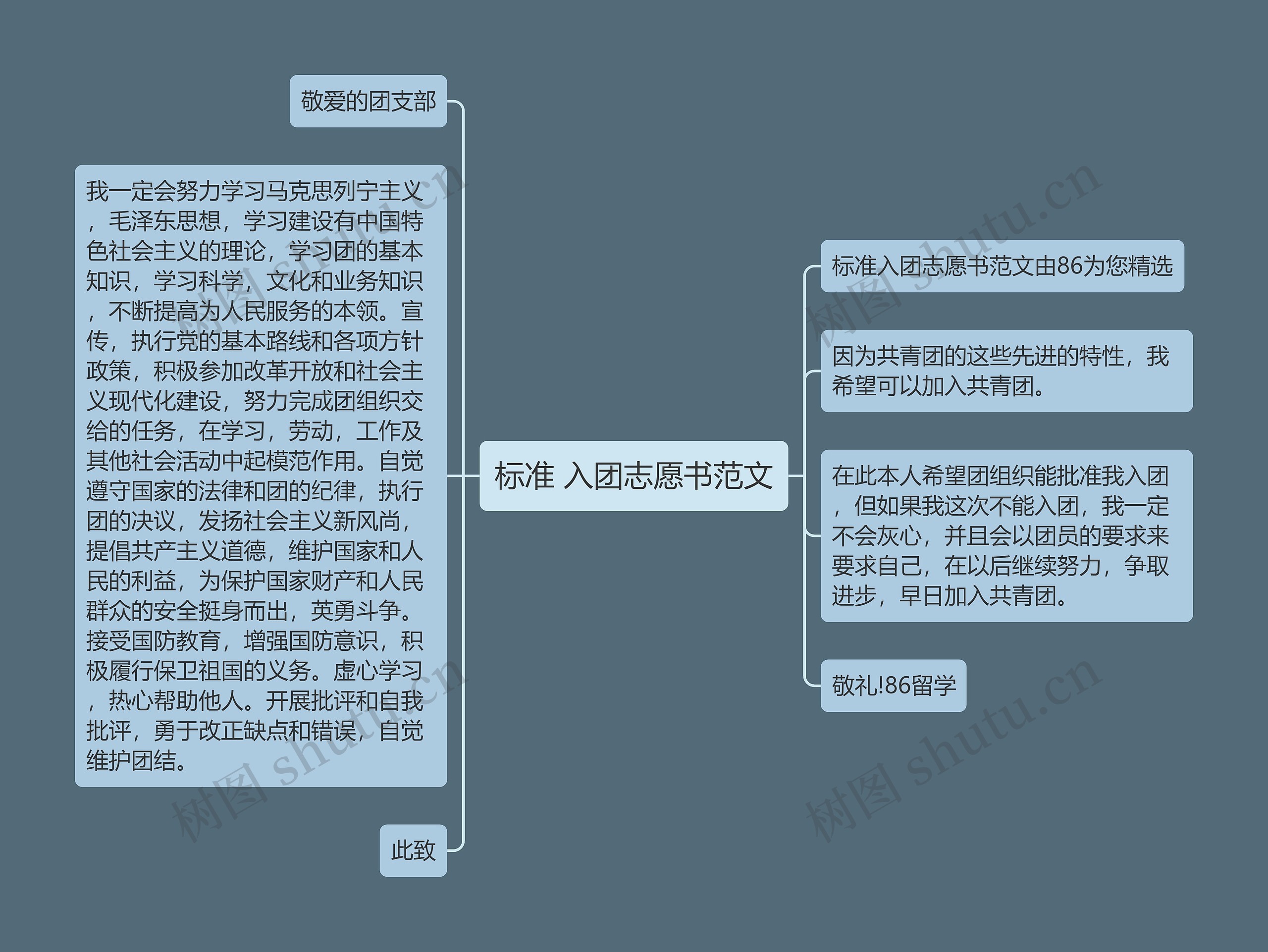 标准 入团志愿书范文思维导图