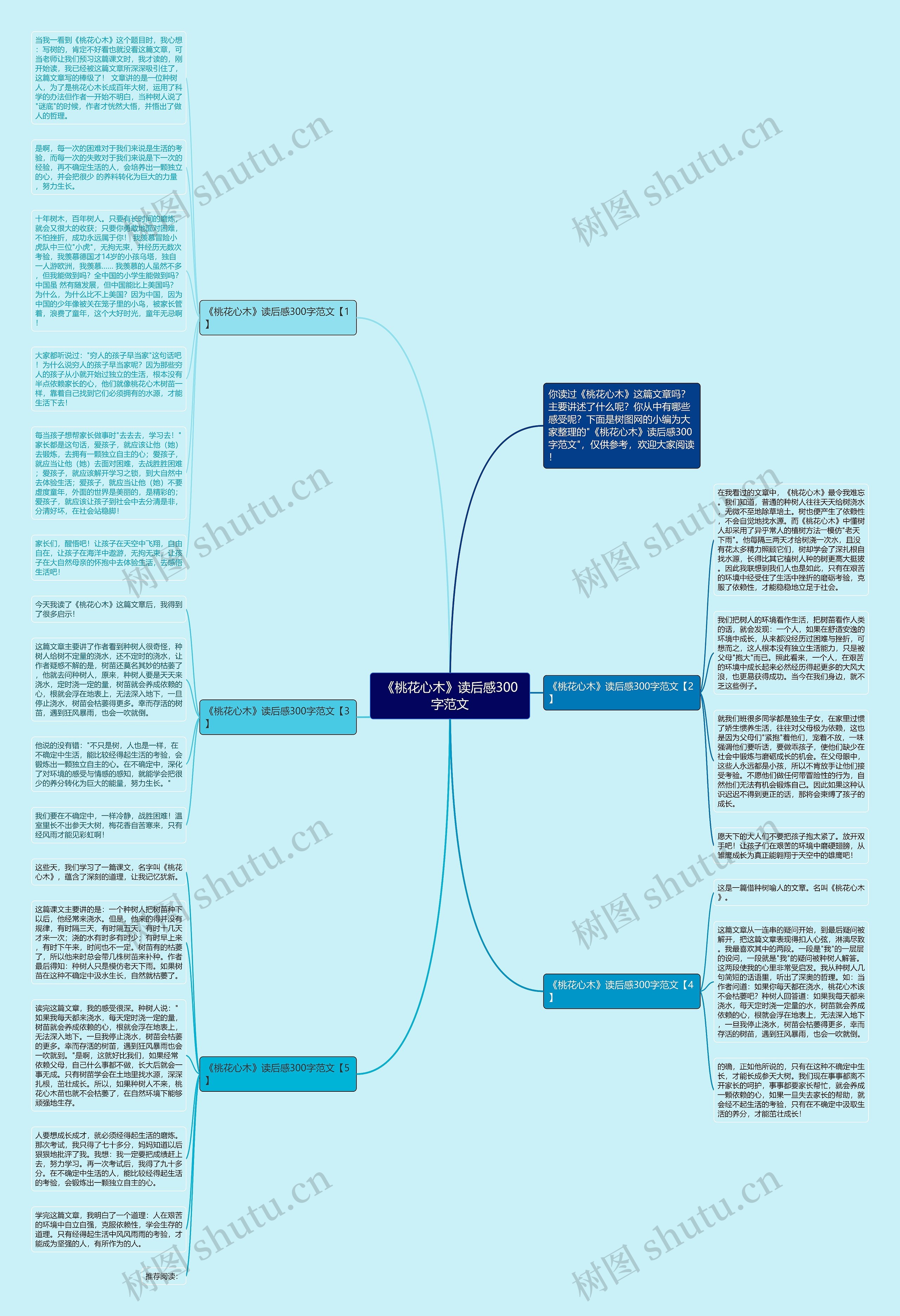 《桃花心木》读后感300字范文思维导图