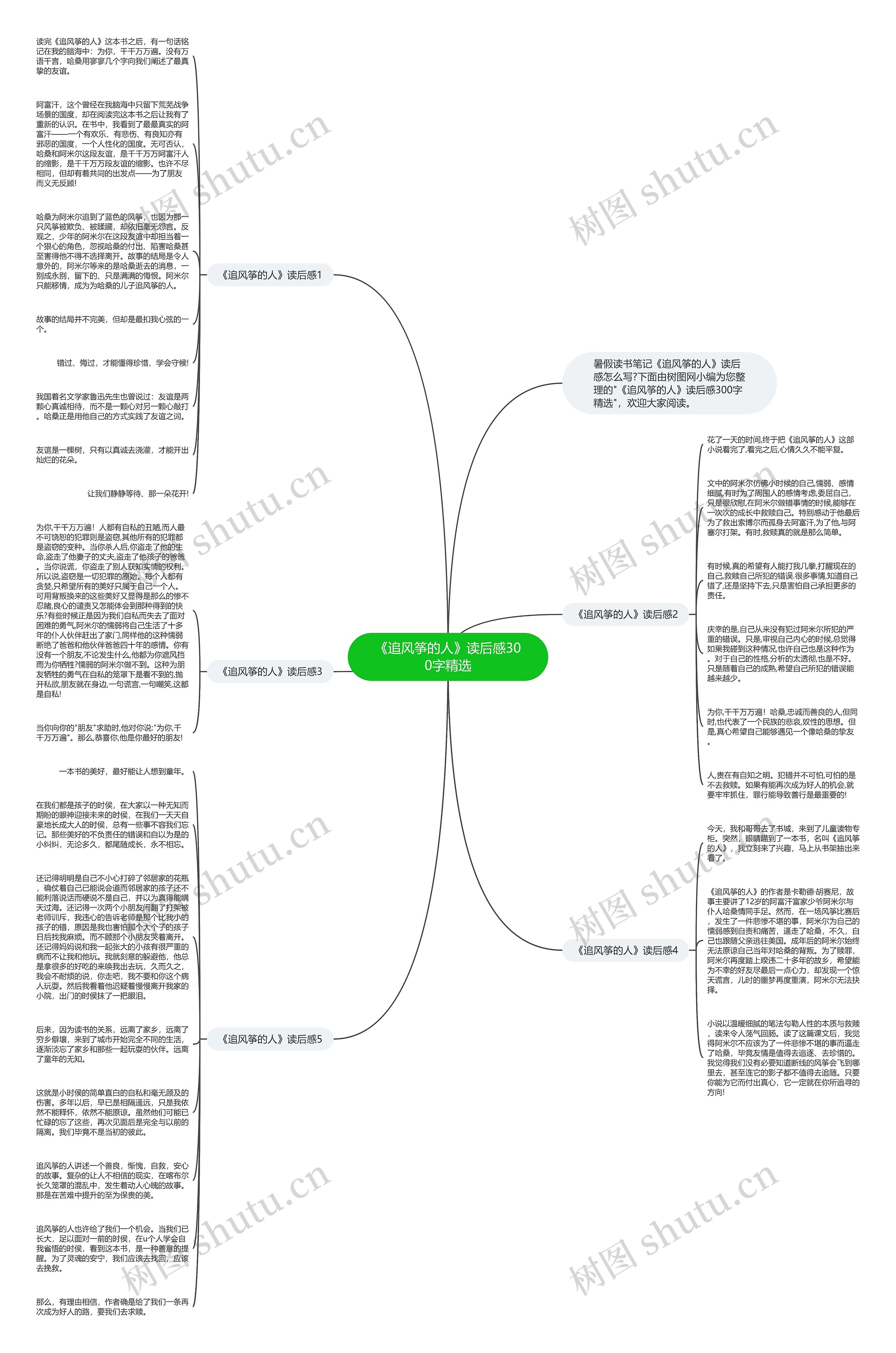 《追风筝的人》读后感300字精选思维导图
