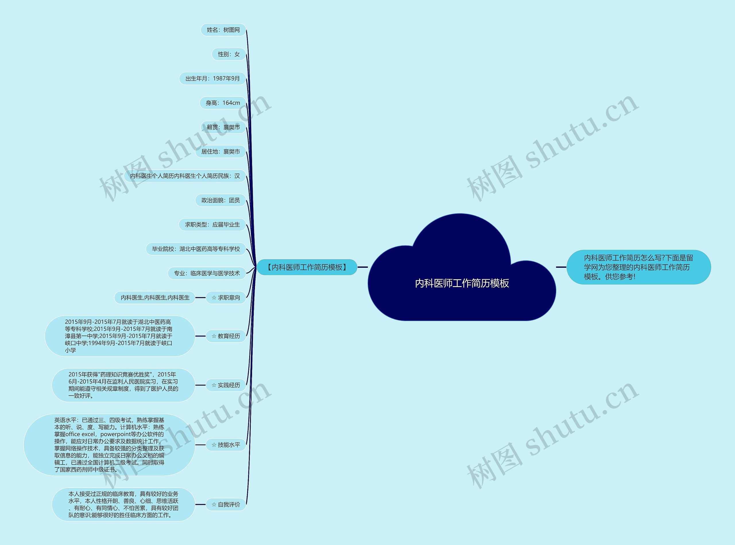 内科医师工作简历思维导图