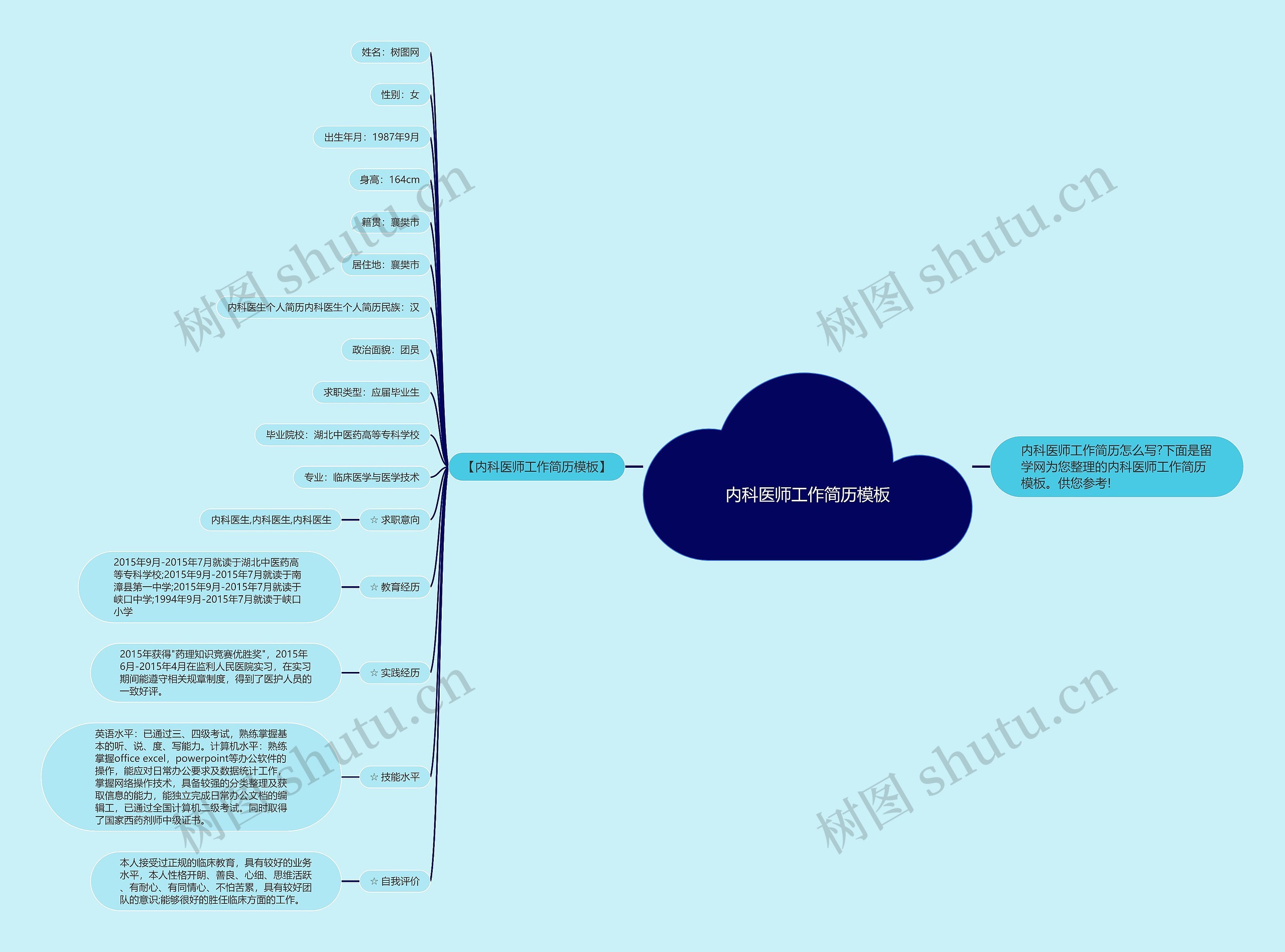 内科医师工作简历思维导图高清图 内科医师工作简历思维导图