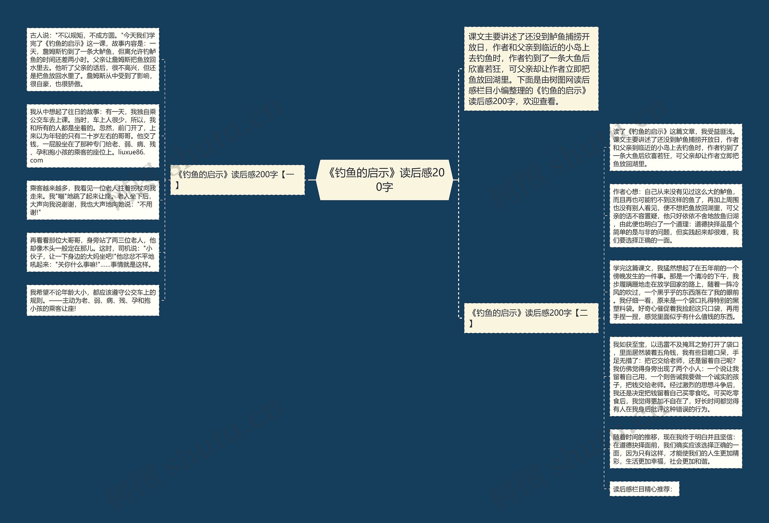 《钓鱼的启示》读后感200字思维导图