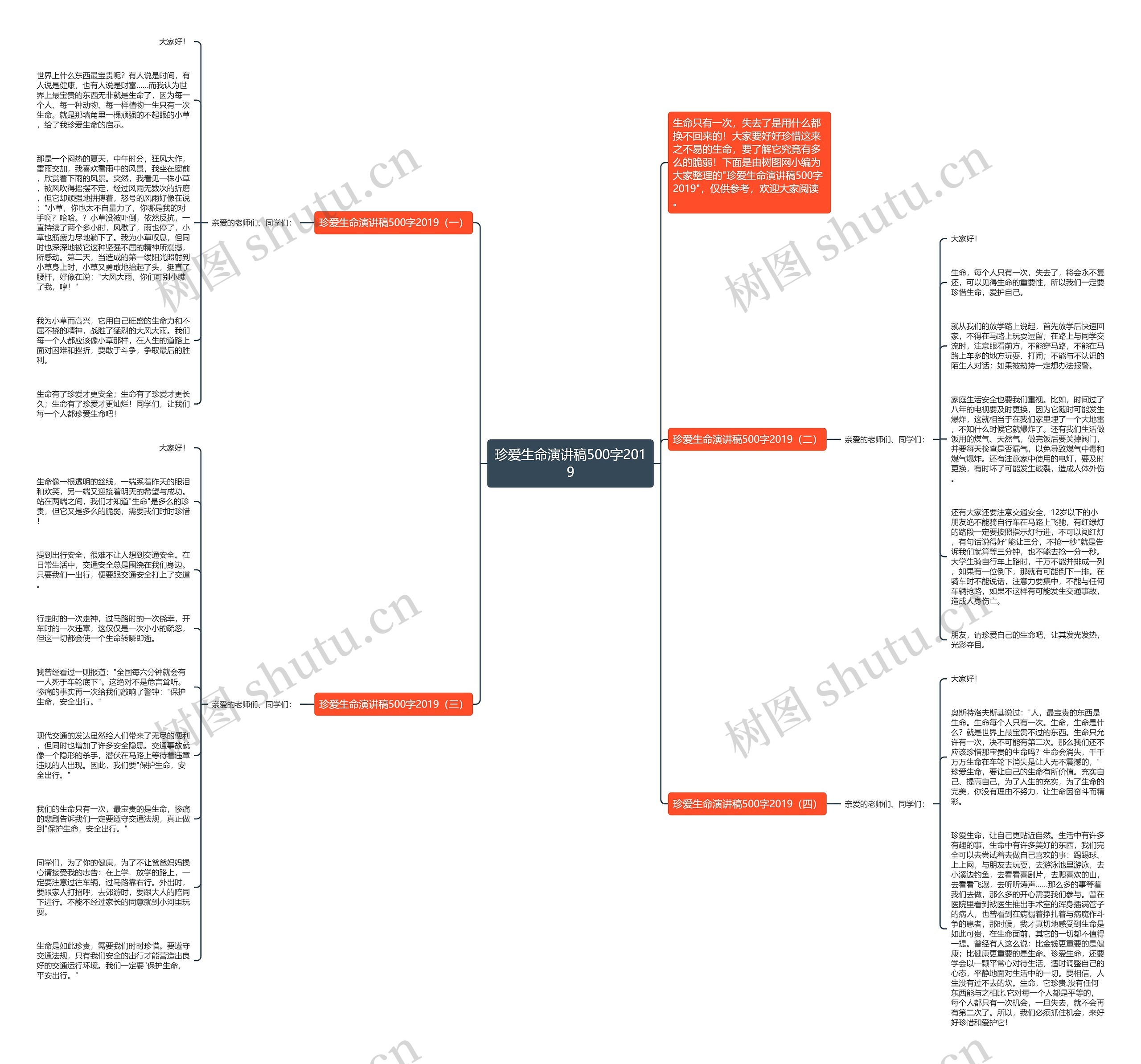 珍爱生命演讲稿500字2019思维导图