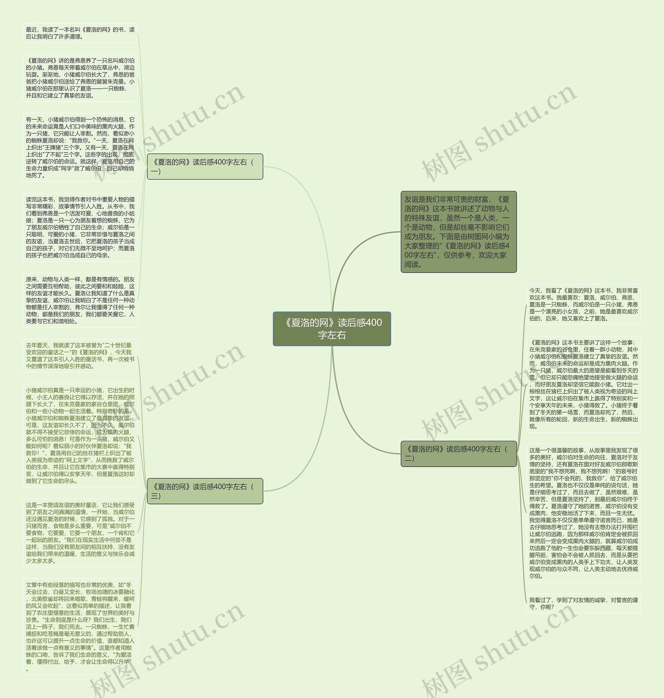 《夏洛的网》读后感400字左右思维导图