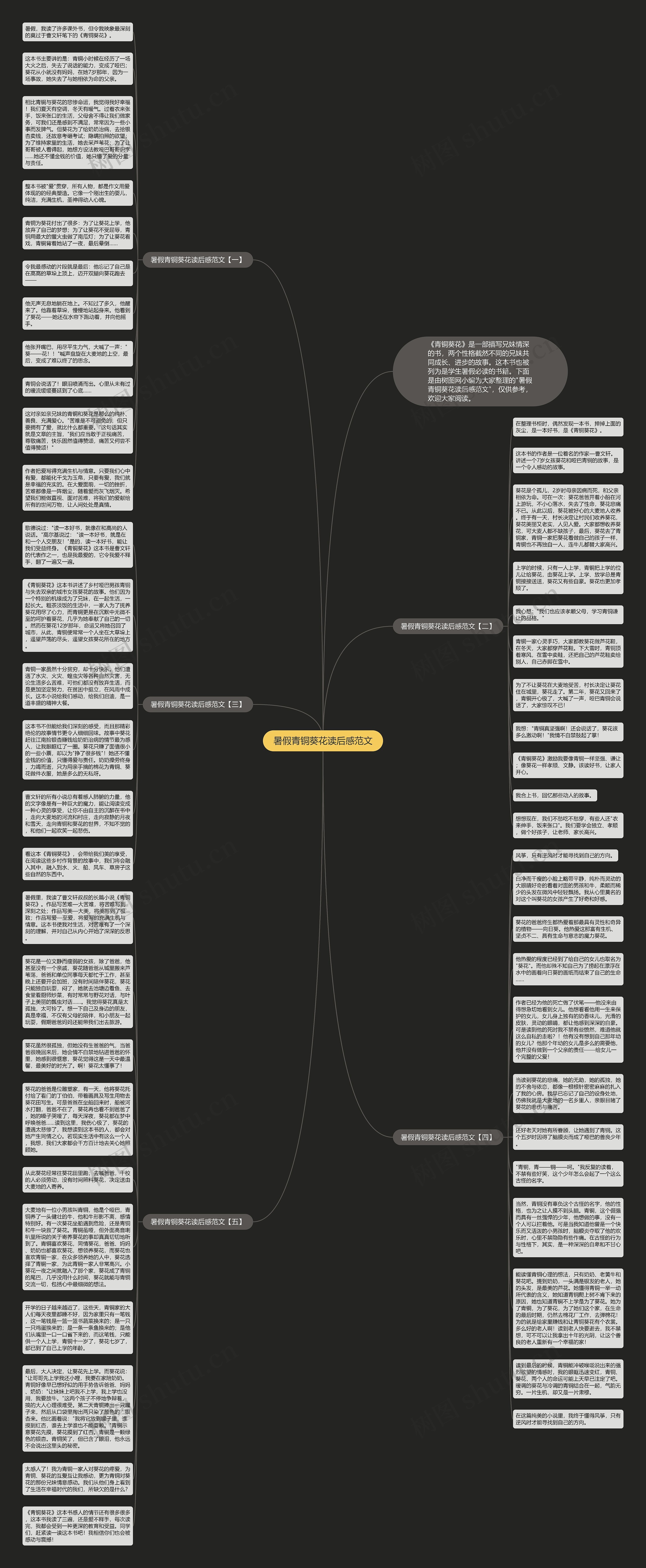 暑假青铜葵花读后感范文思维导图