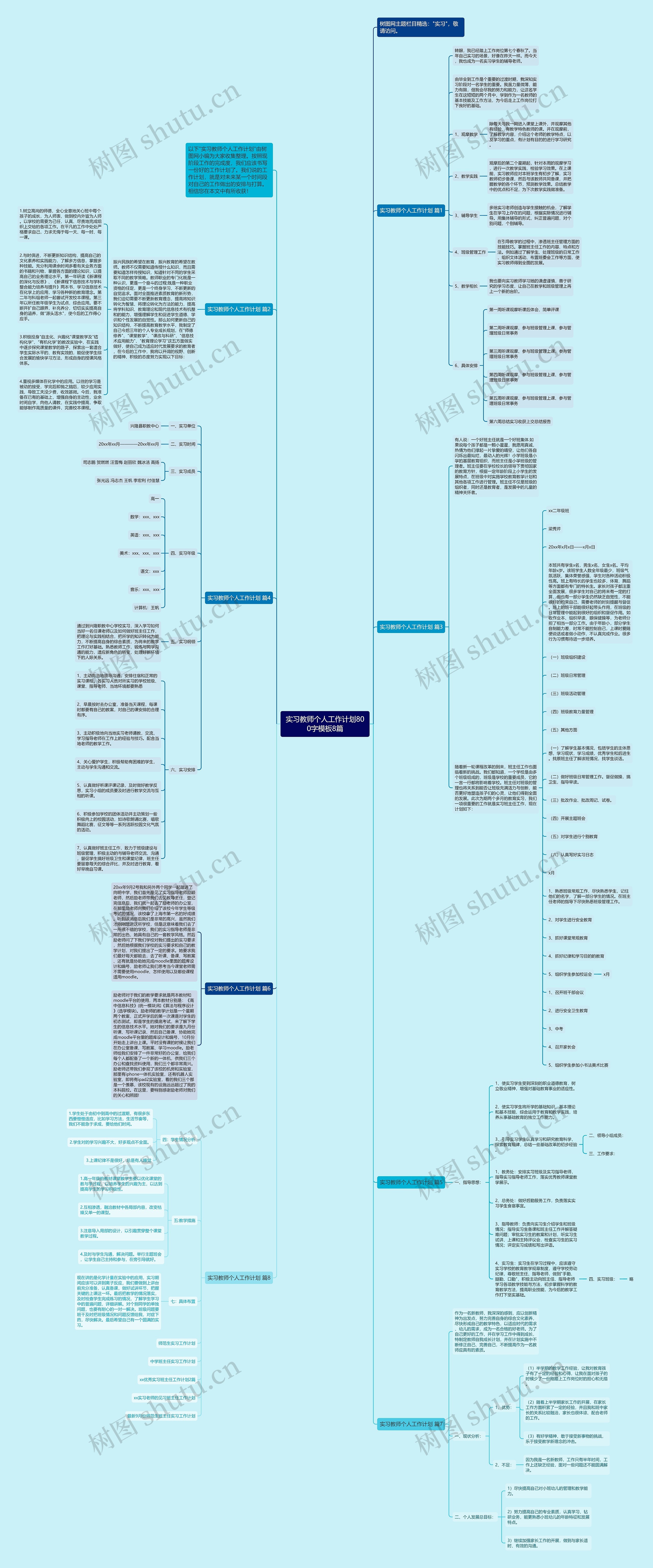 实习教师个人工作计划800字8篇思维导图