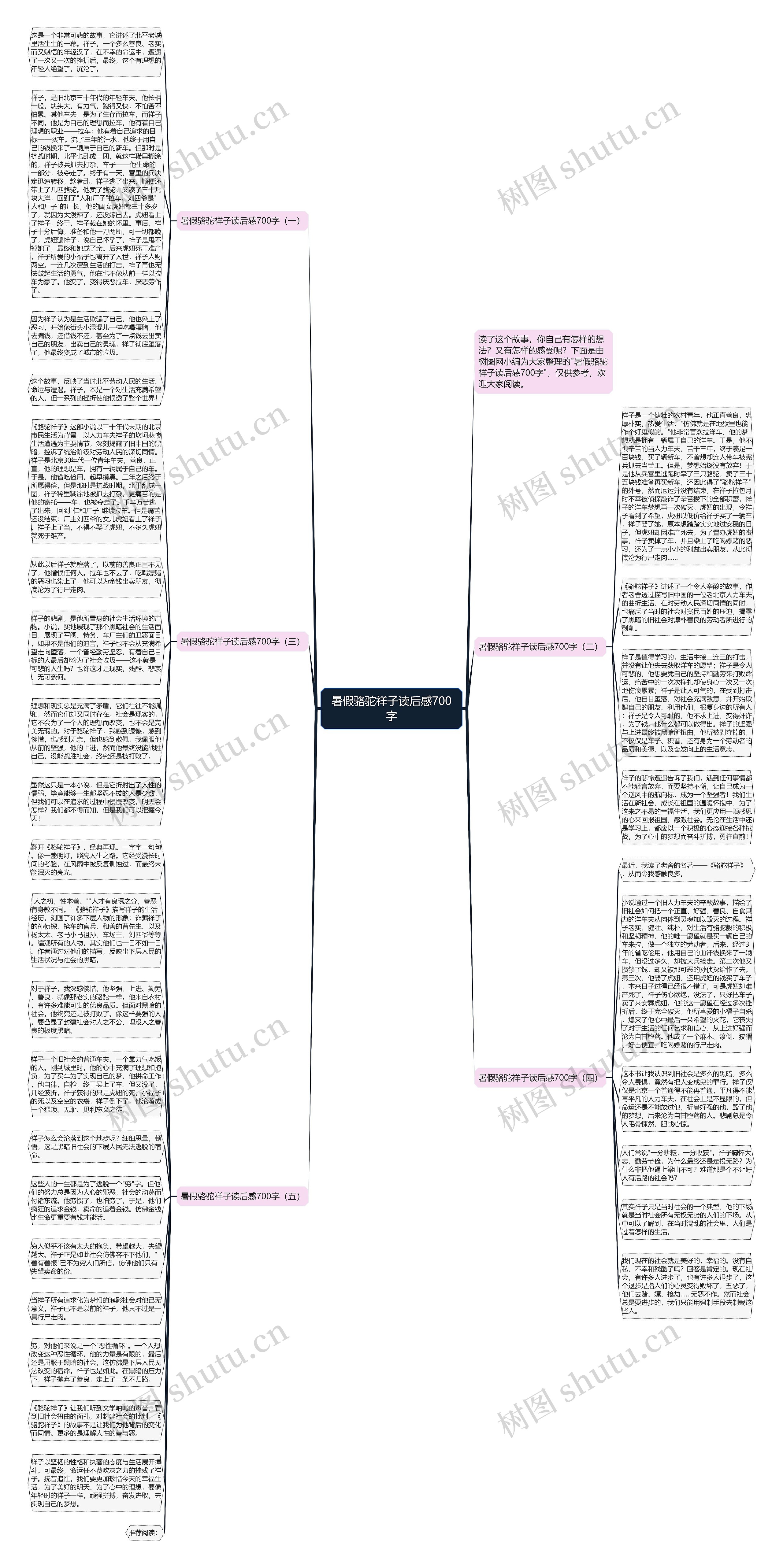 暑假骆驼祥子读后感700字思维导图