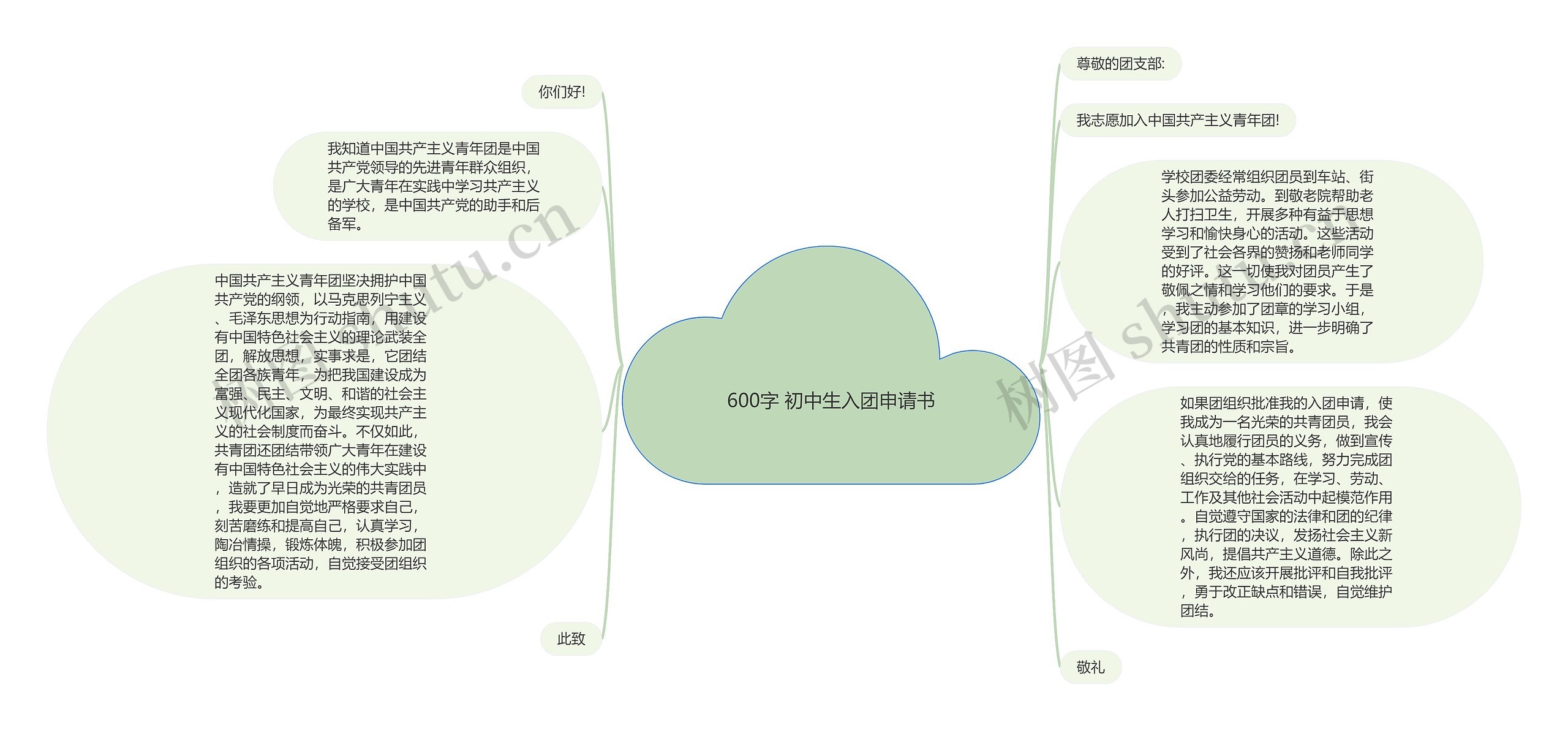 600字 初中生入团申请书