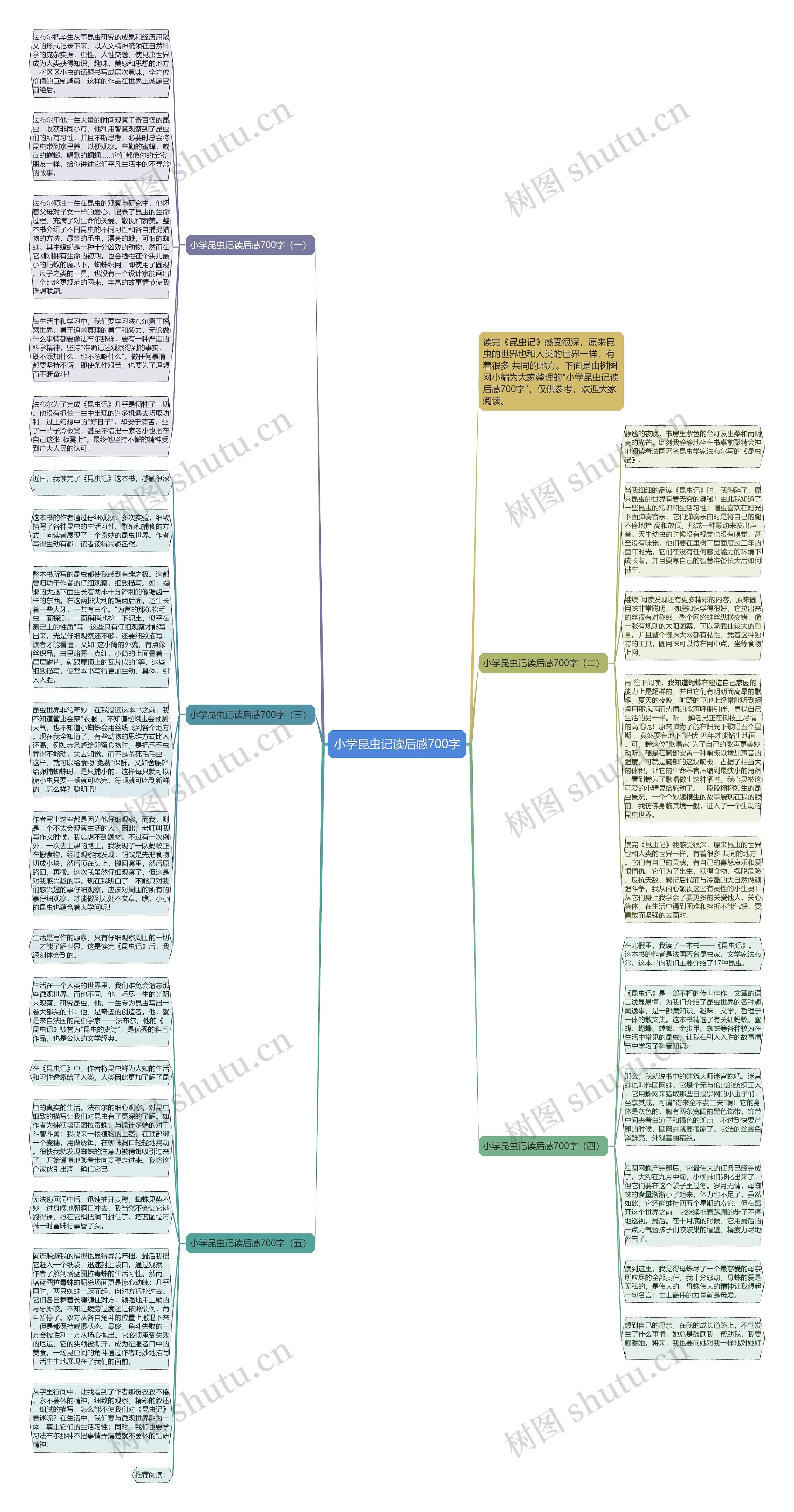 小学昆虫记读后感700字思维导图