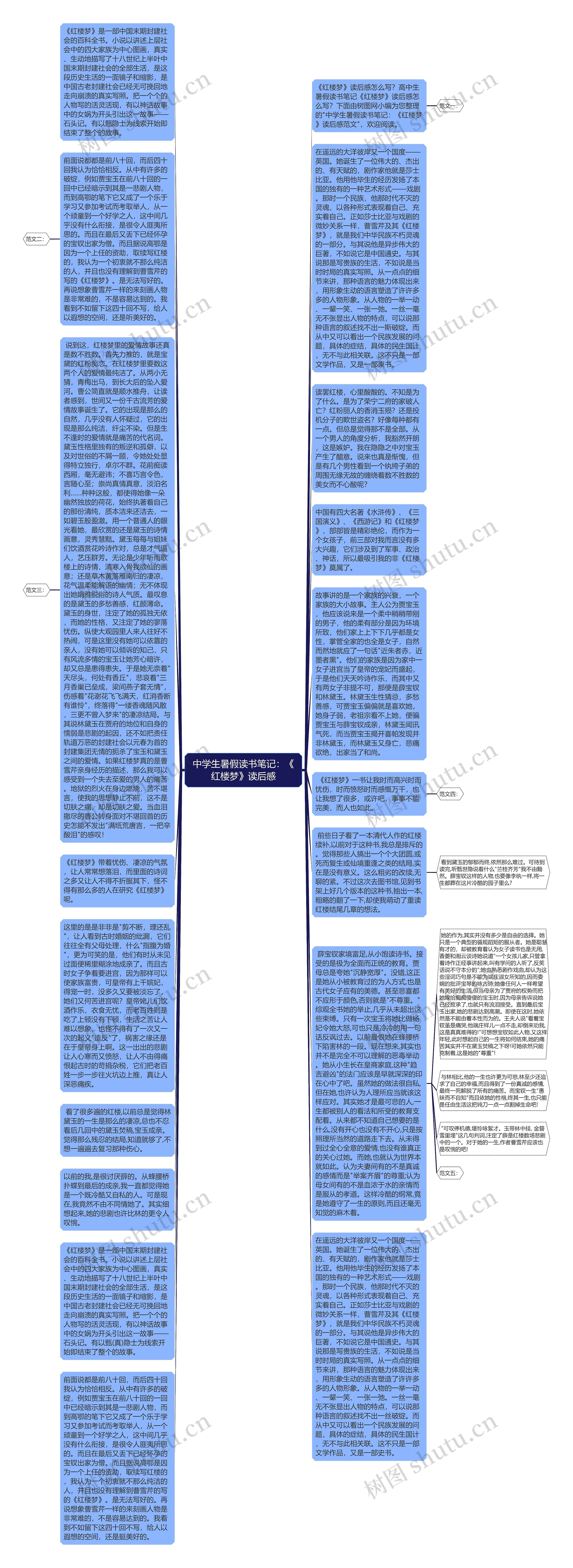 中学生暑假读书笔记：《红楼梦》读后感