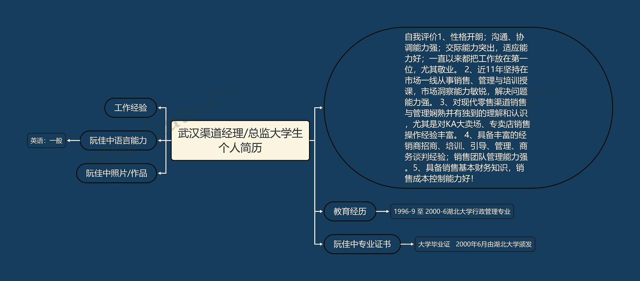 武汉渠道经理/总监大学生个人简历思维导图