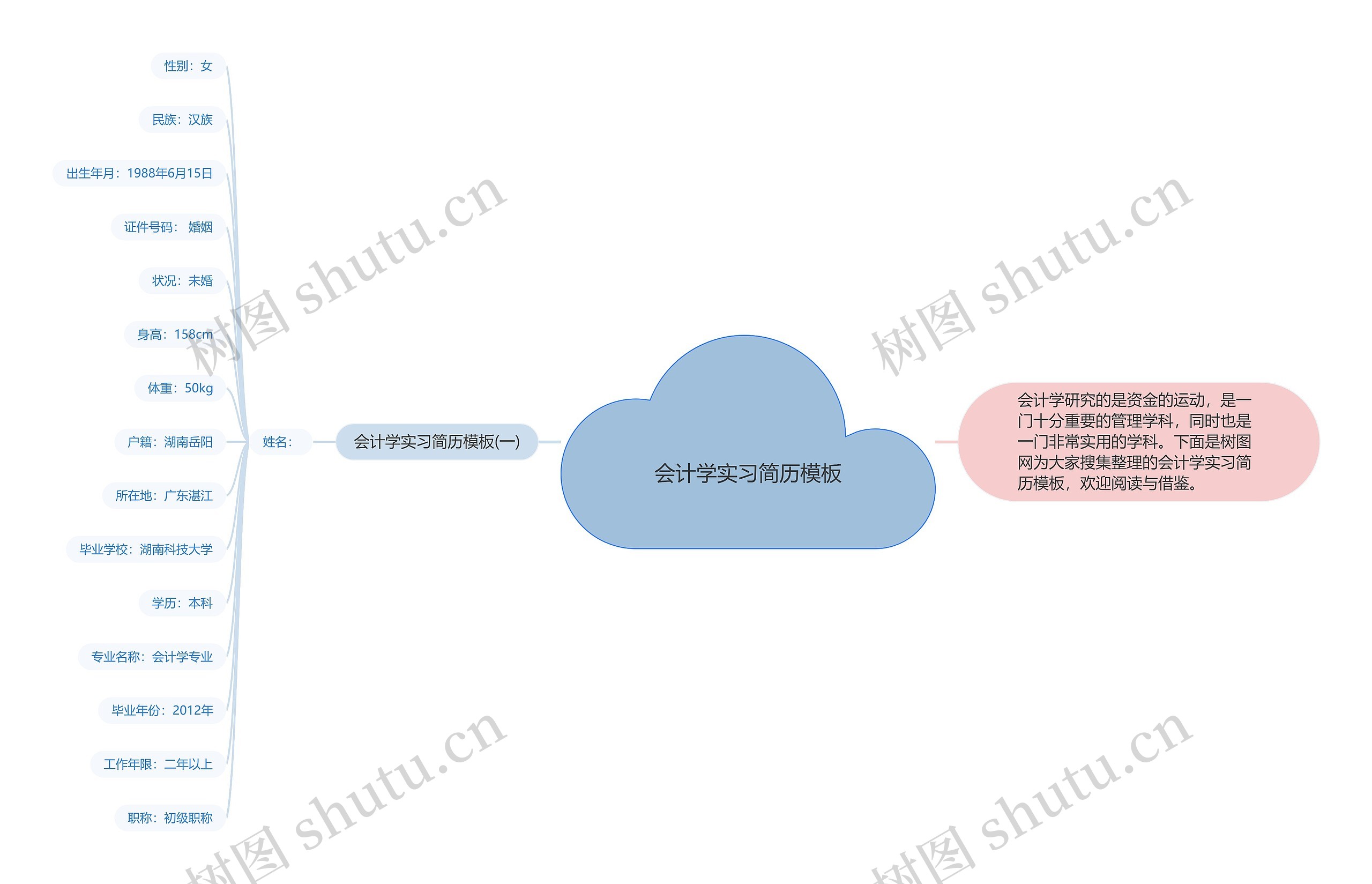 会计学实习简历思维导图