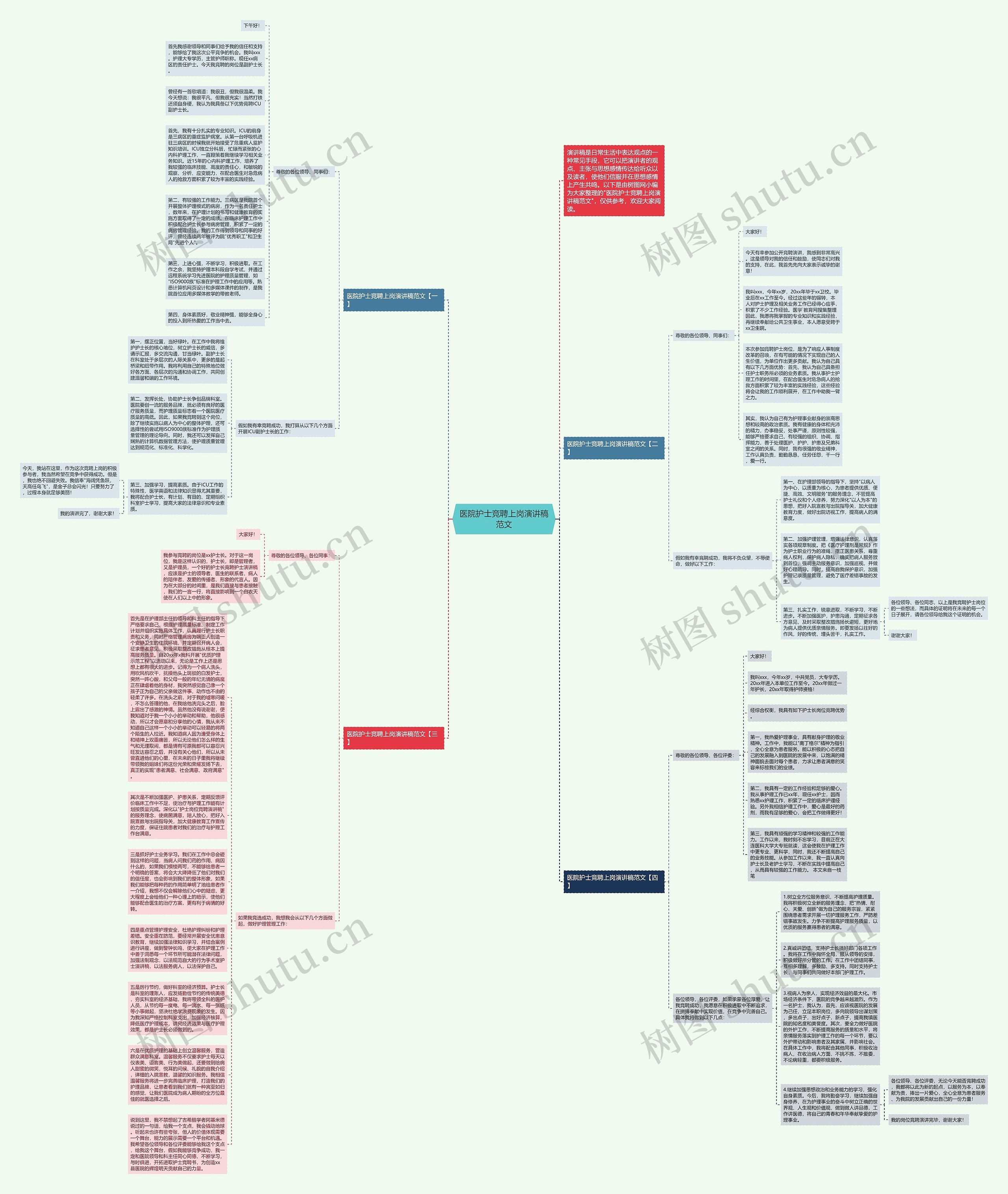 医院护士竞聘上岗演讲稿范文思维导图