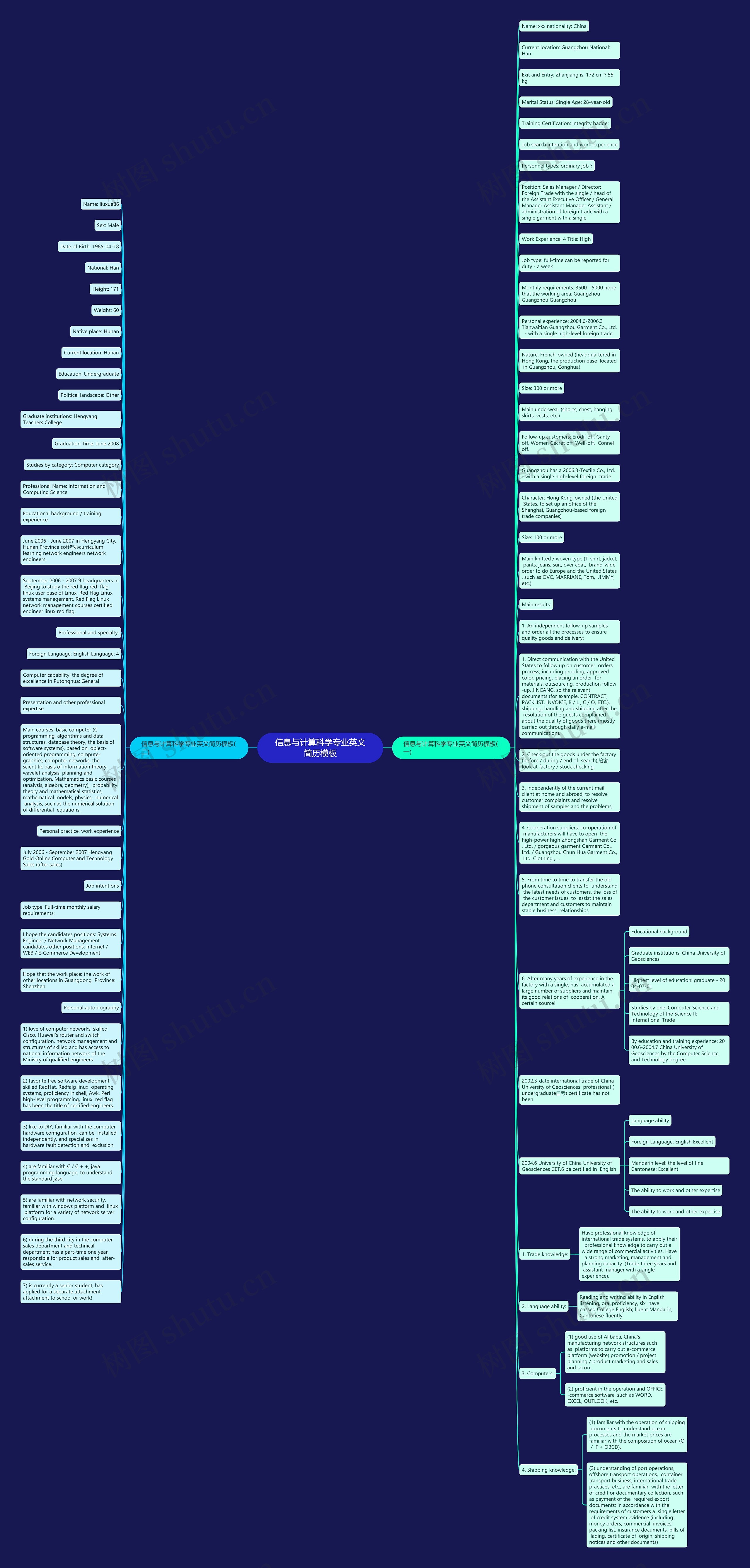 信息与计算科学专业英文简历思维导图