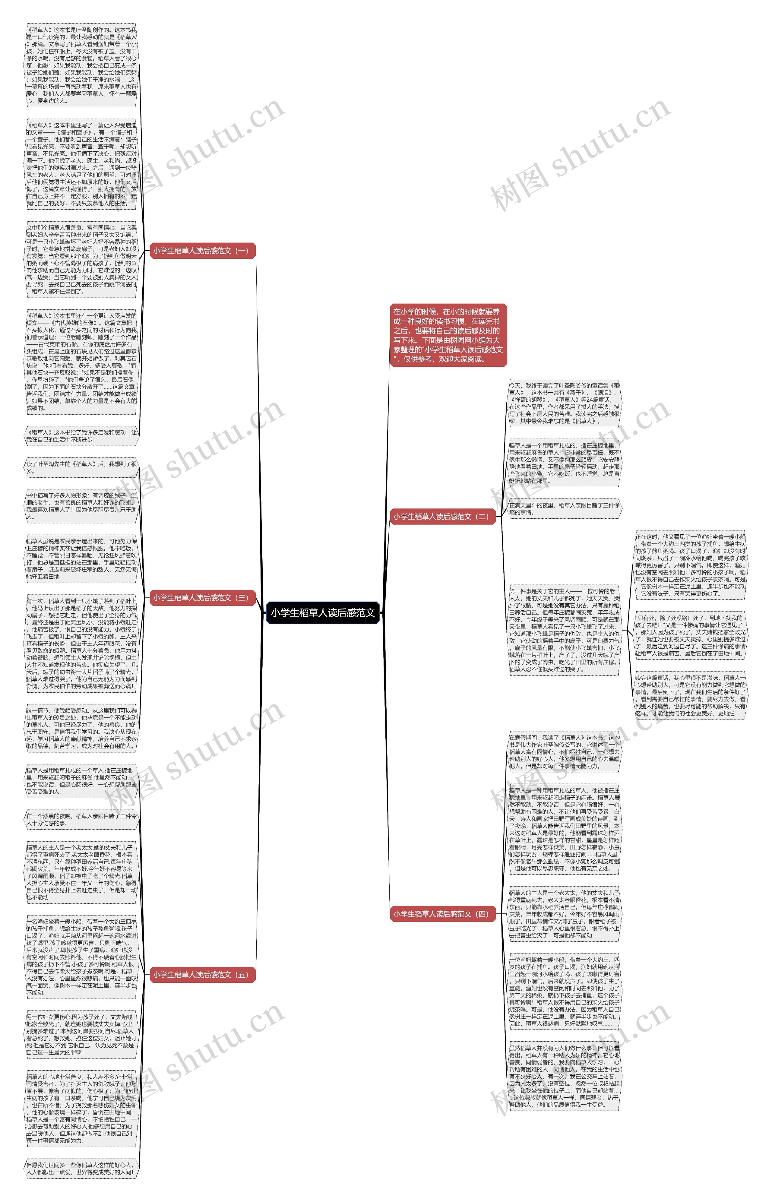 小学生稻草人读后感范文思维导图